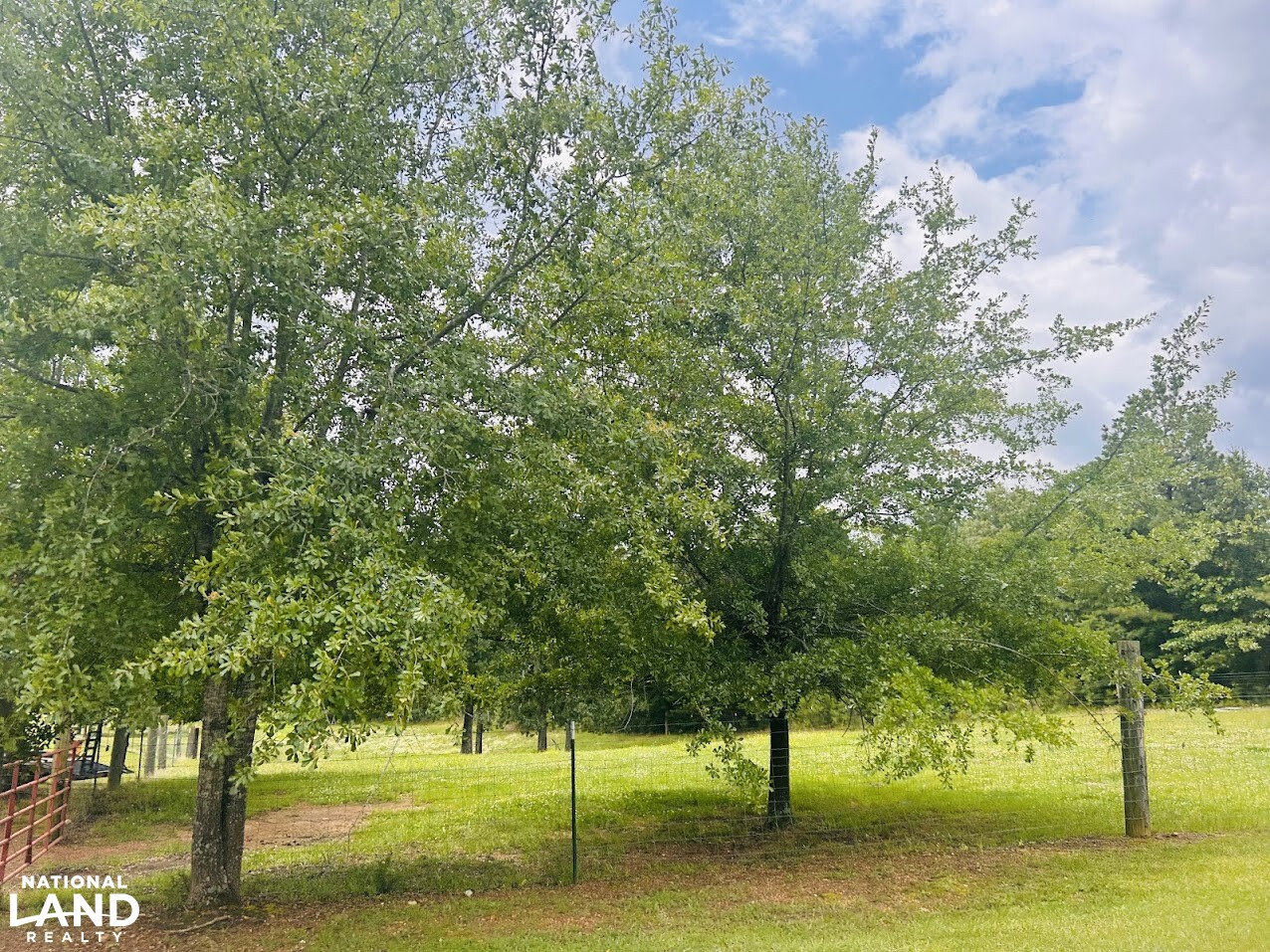 7.33 +/- Acres Talladega County in Talladega County, AL (1 of 14)