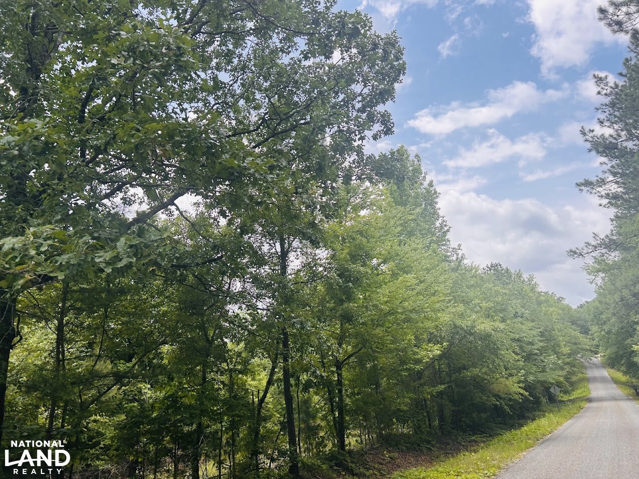 7.33 +/- Acres Talladega County in Talladega County, AL (4 of 14)