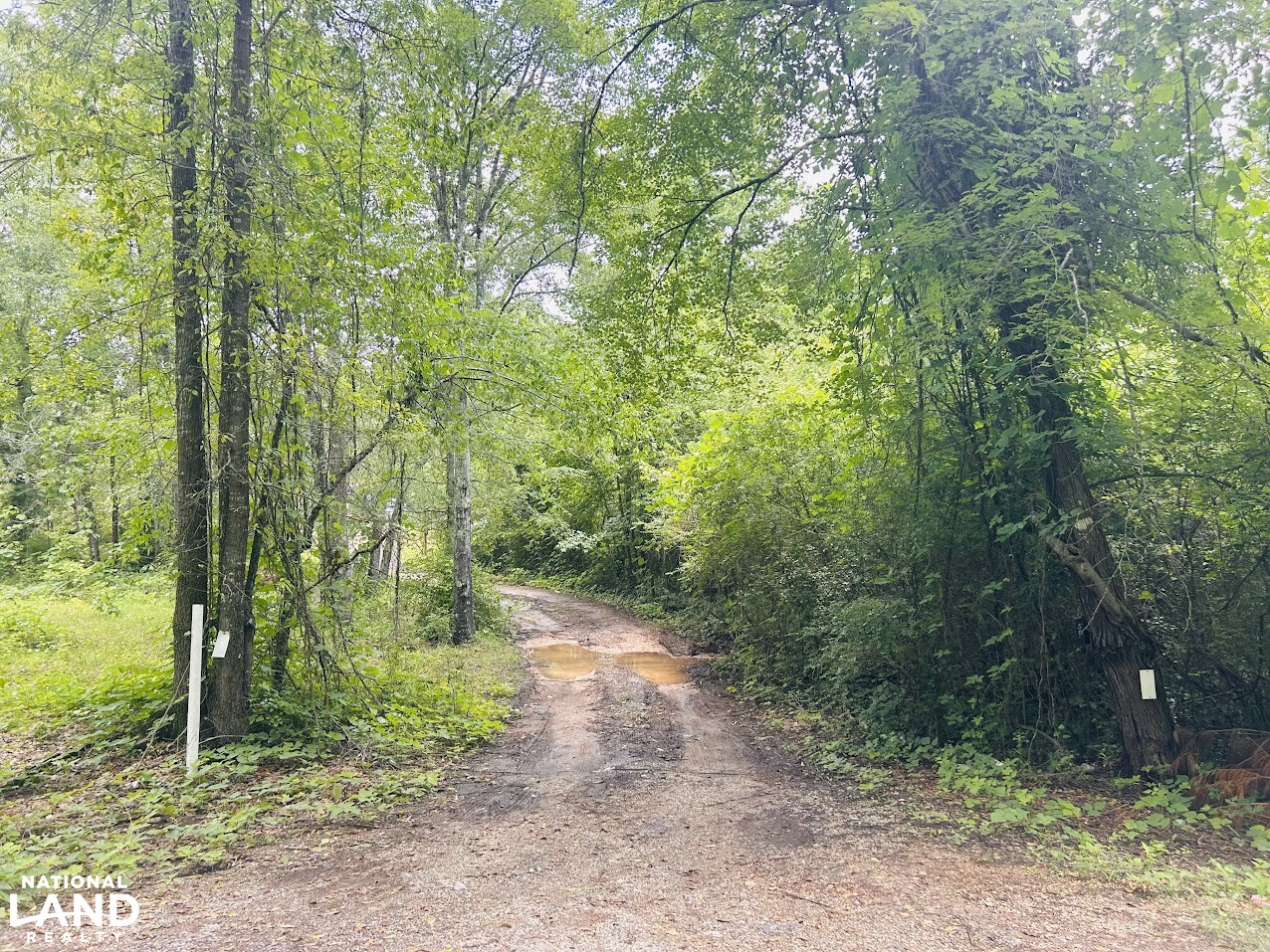 7.33 +/- Acres Talladega County in Talladega County, AL (7 of 14)