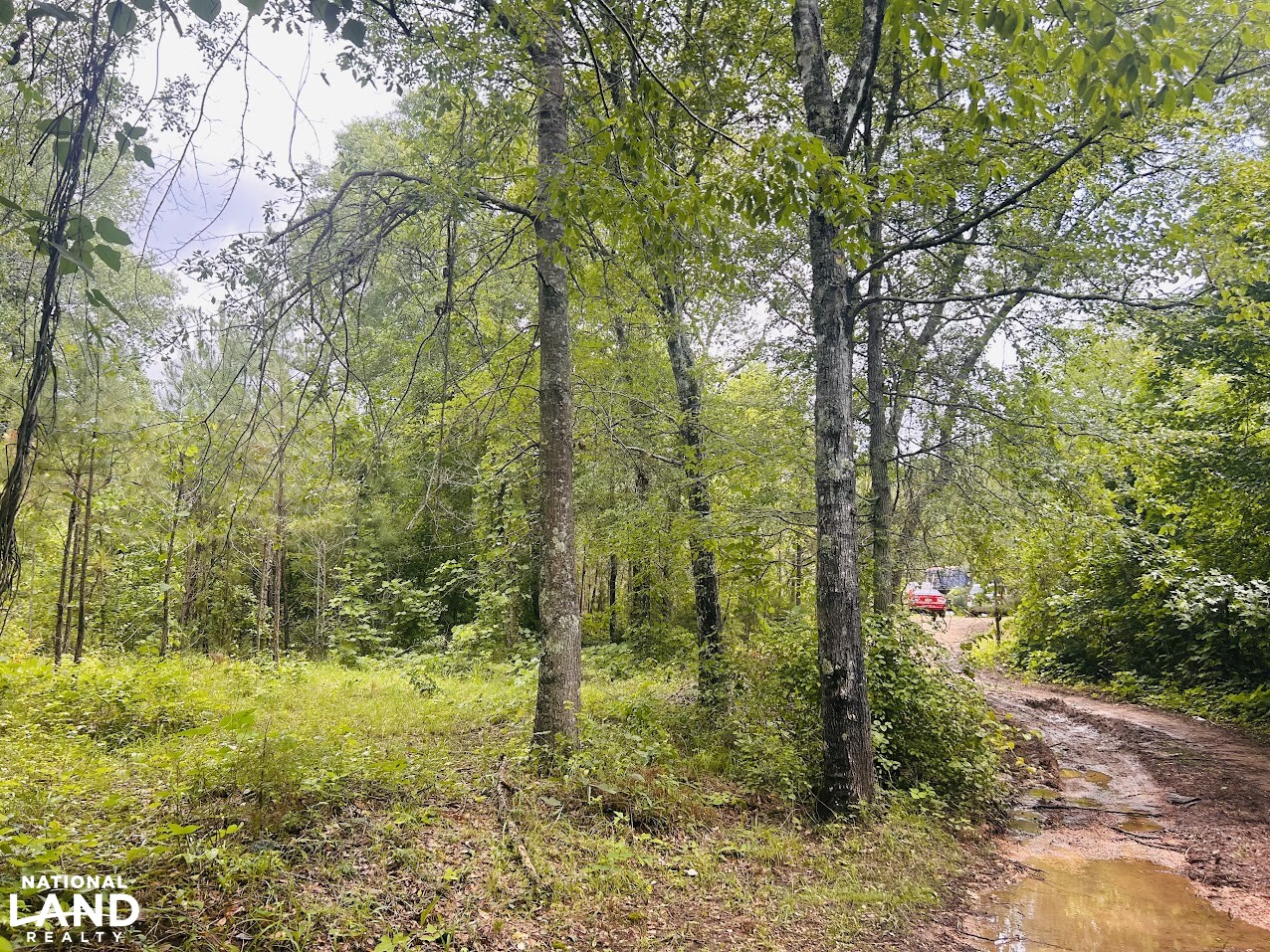7.33 +/- Acres Talladega County in Talladega County, AL (9 of 14)