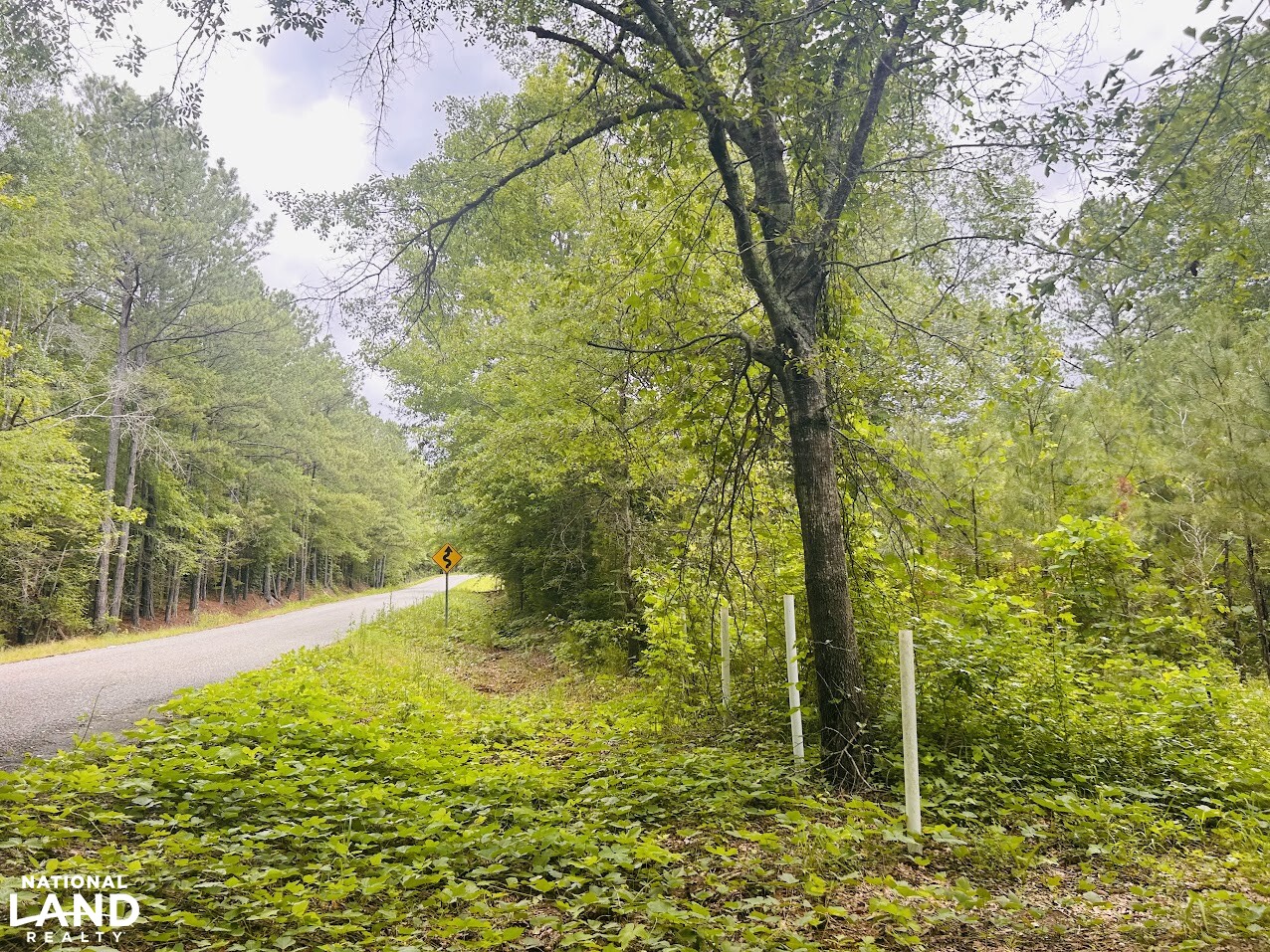 7.33 +/- Acres Talladega County in Talladega County, AL (10 of 14)
