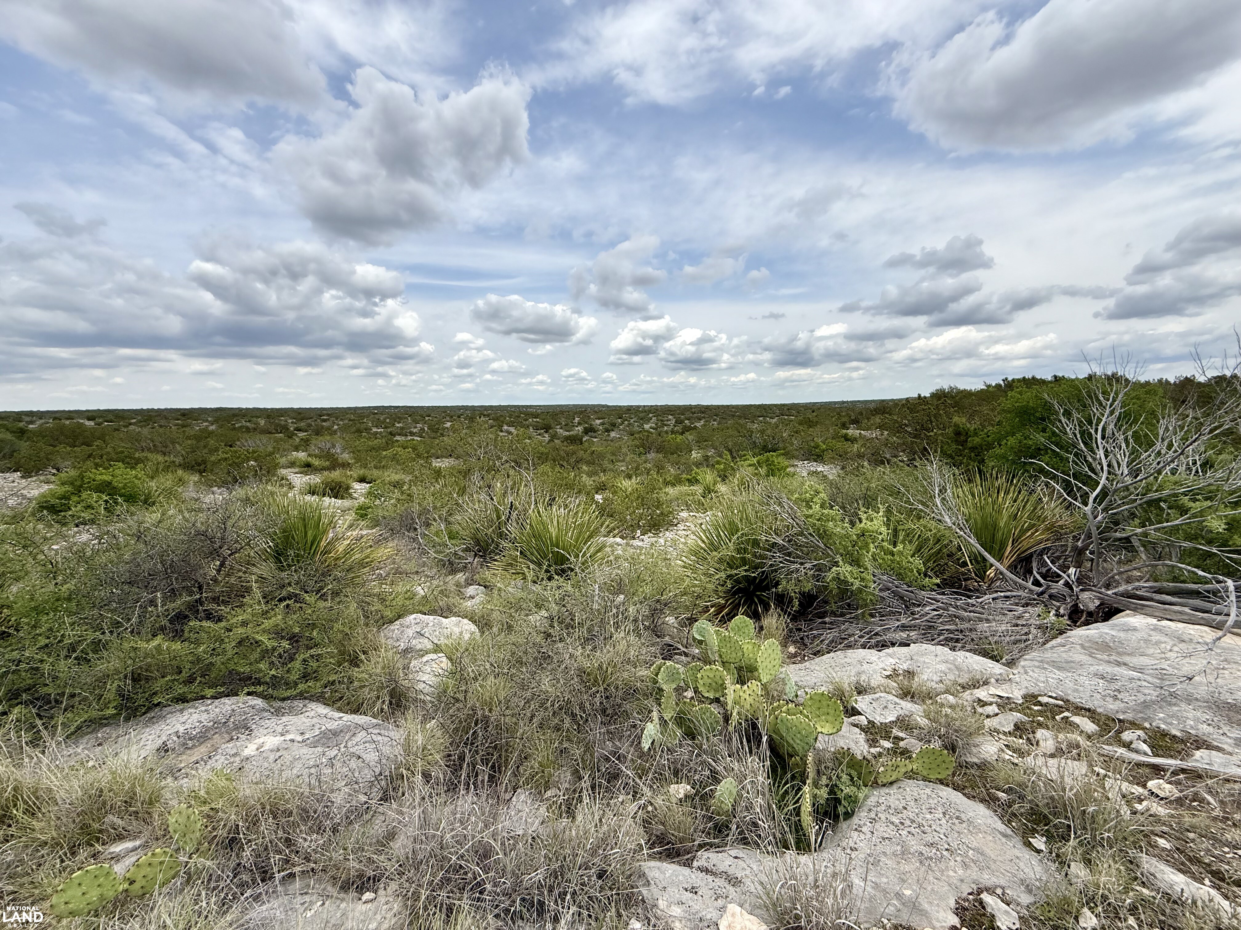 Western Hill Country Hunting Paradise in Val Verde County, TX (3 of 41)
