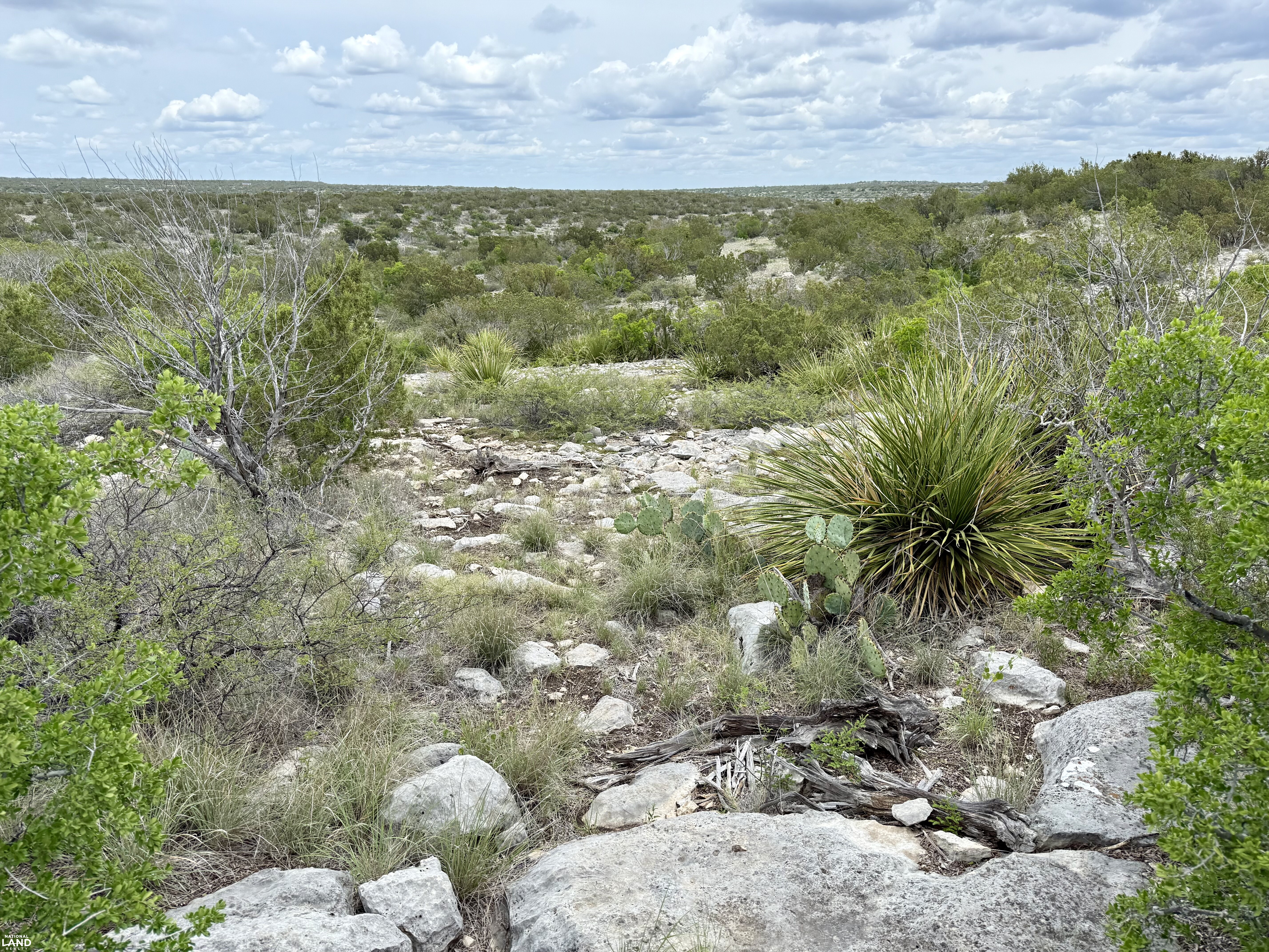 Western Hill Country Hunting Paradise in Val Verde County, TX (4 of 41)