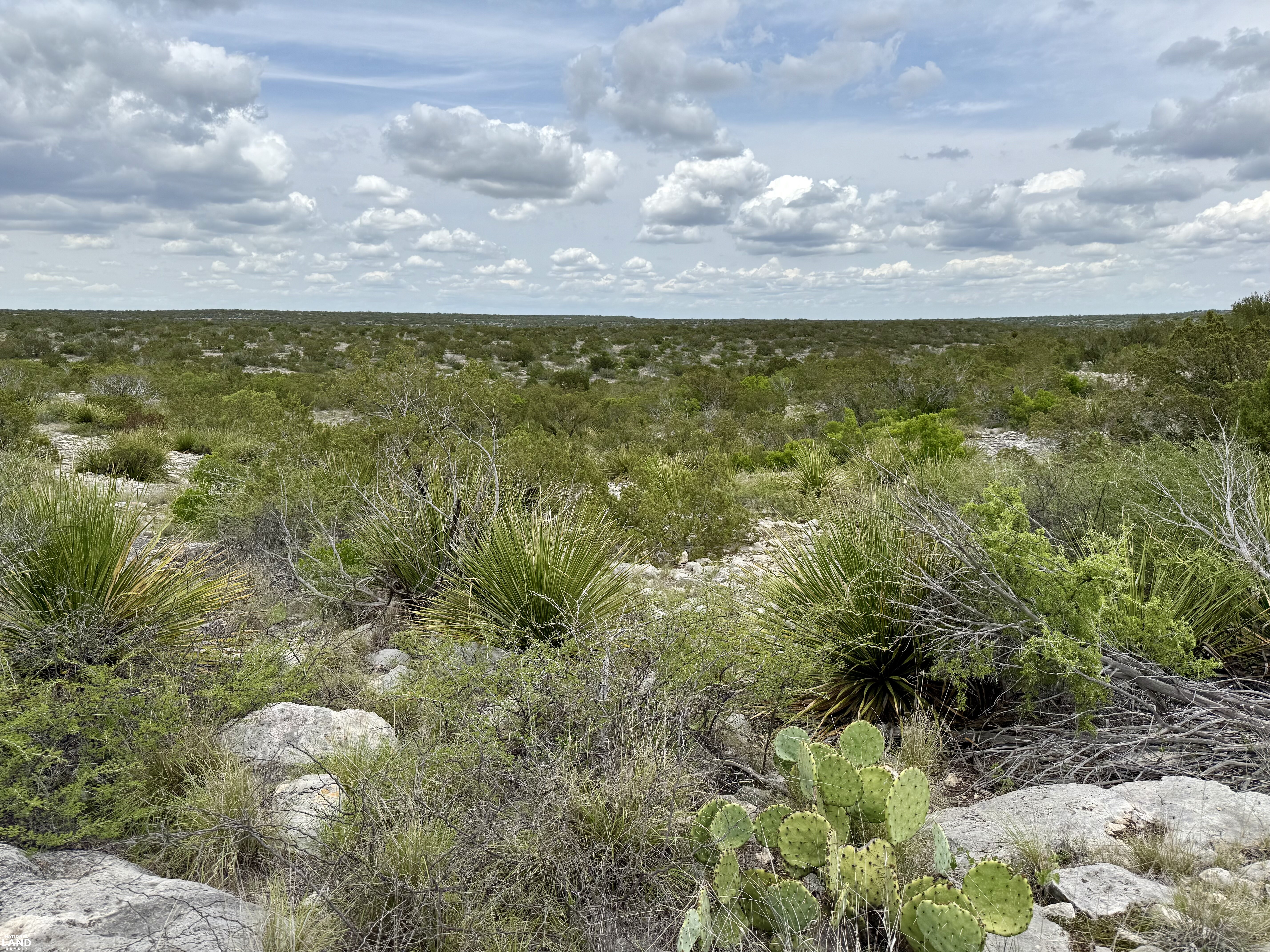 Western Hill Country Hunting Paradise in Val Verde County, TX (6 of 41)