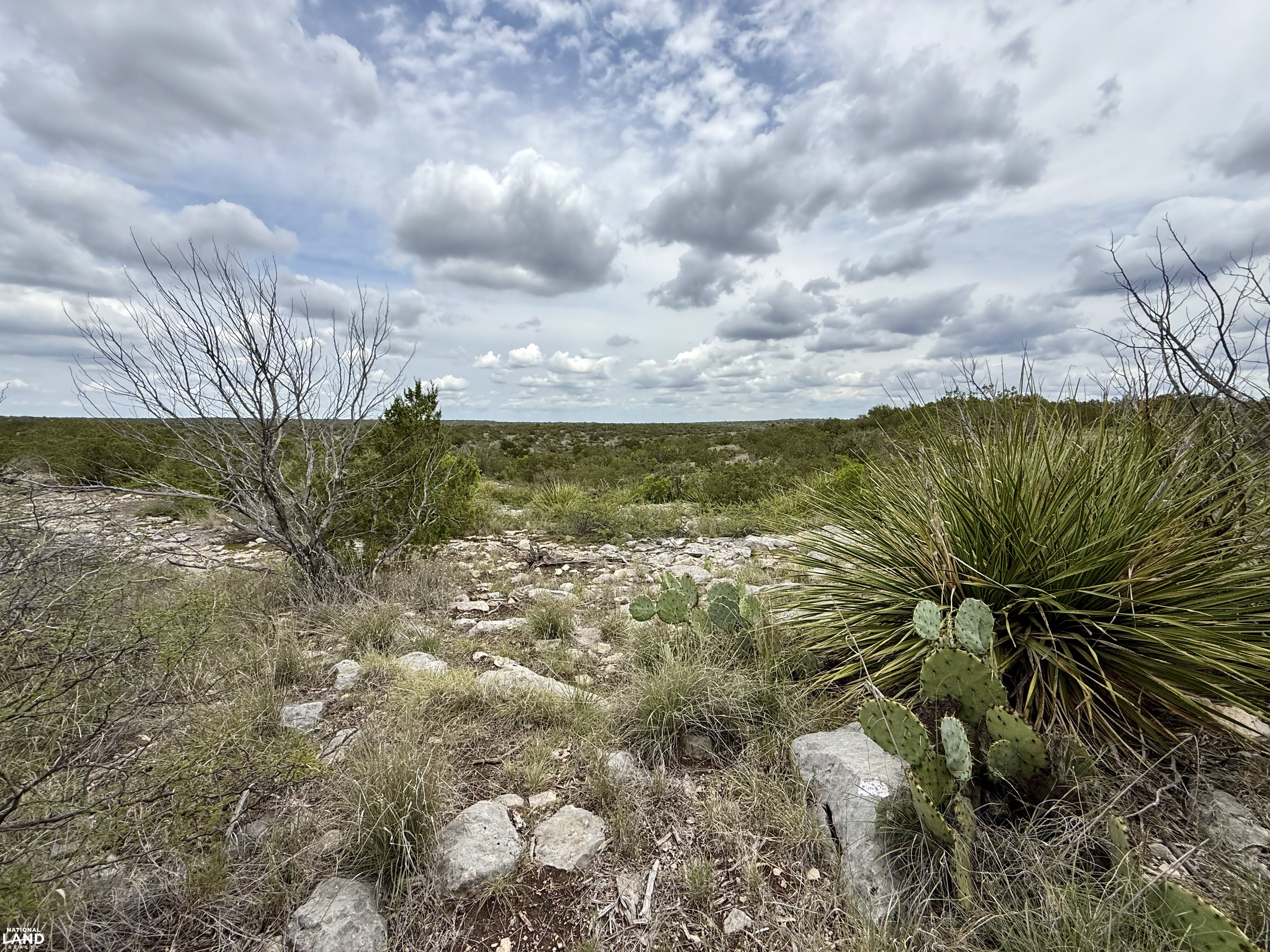 Western Hill Country Hunting Paradise in Val Verde County, TX (15 of 41)