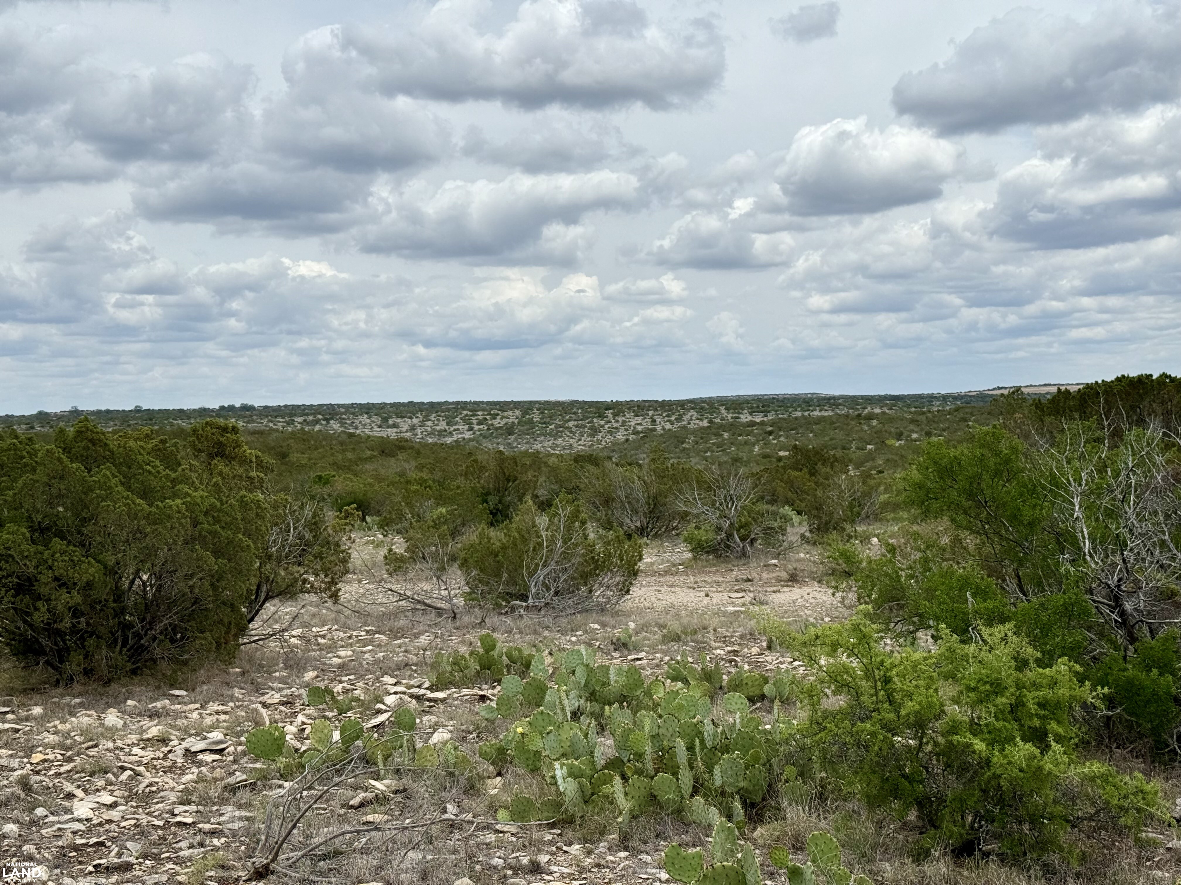 Western Hill Country Hunting Paradise in Val Verde County, TX (16 of 41)