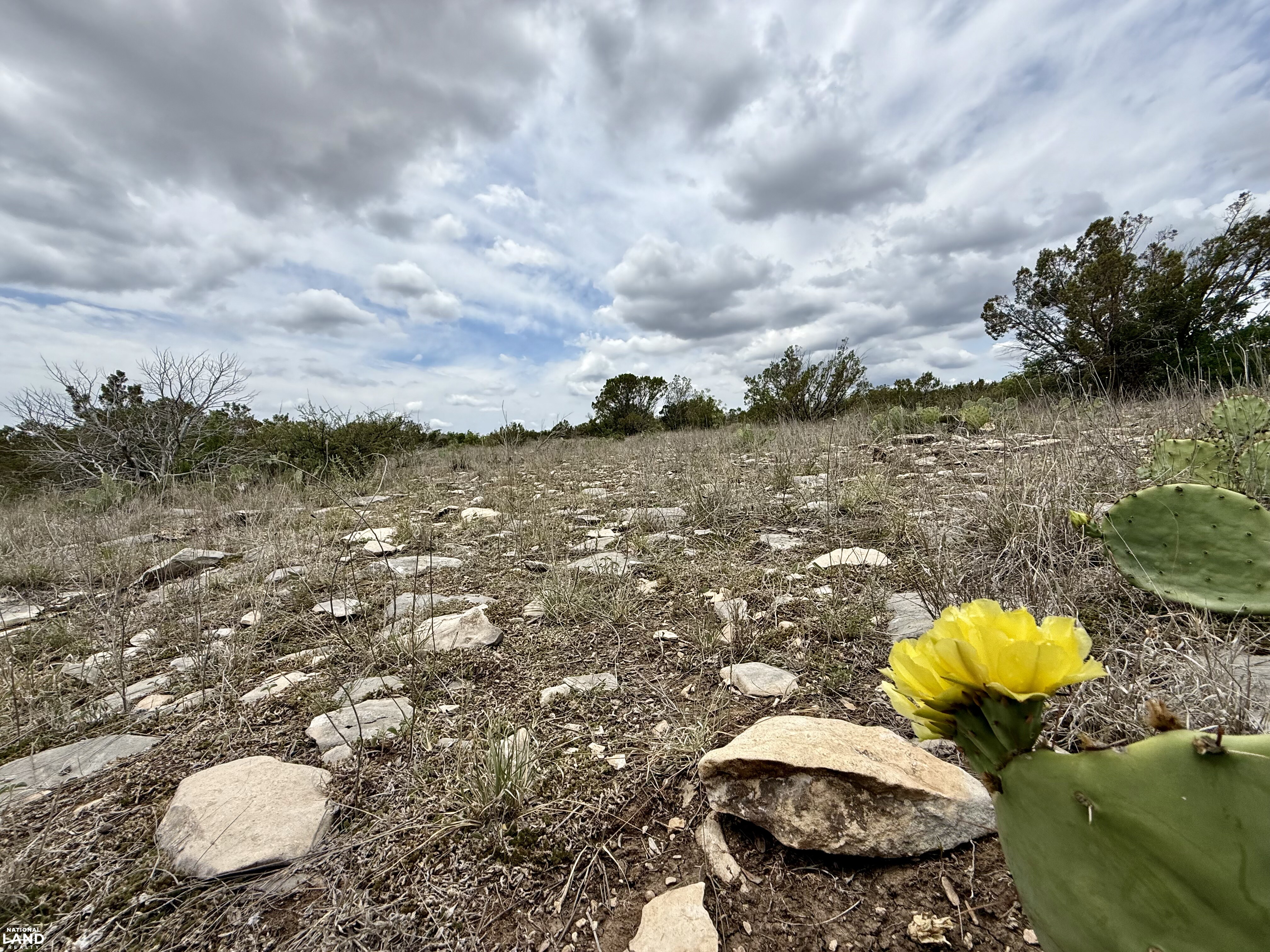 Western Hill Country Hunting Paradise in Val Verde County, TX (19 of 41)