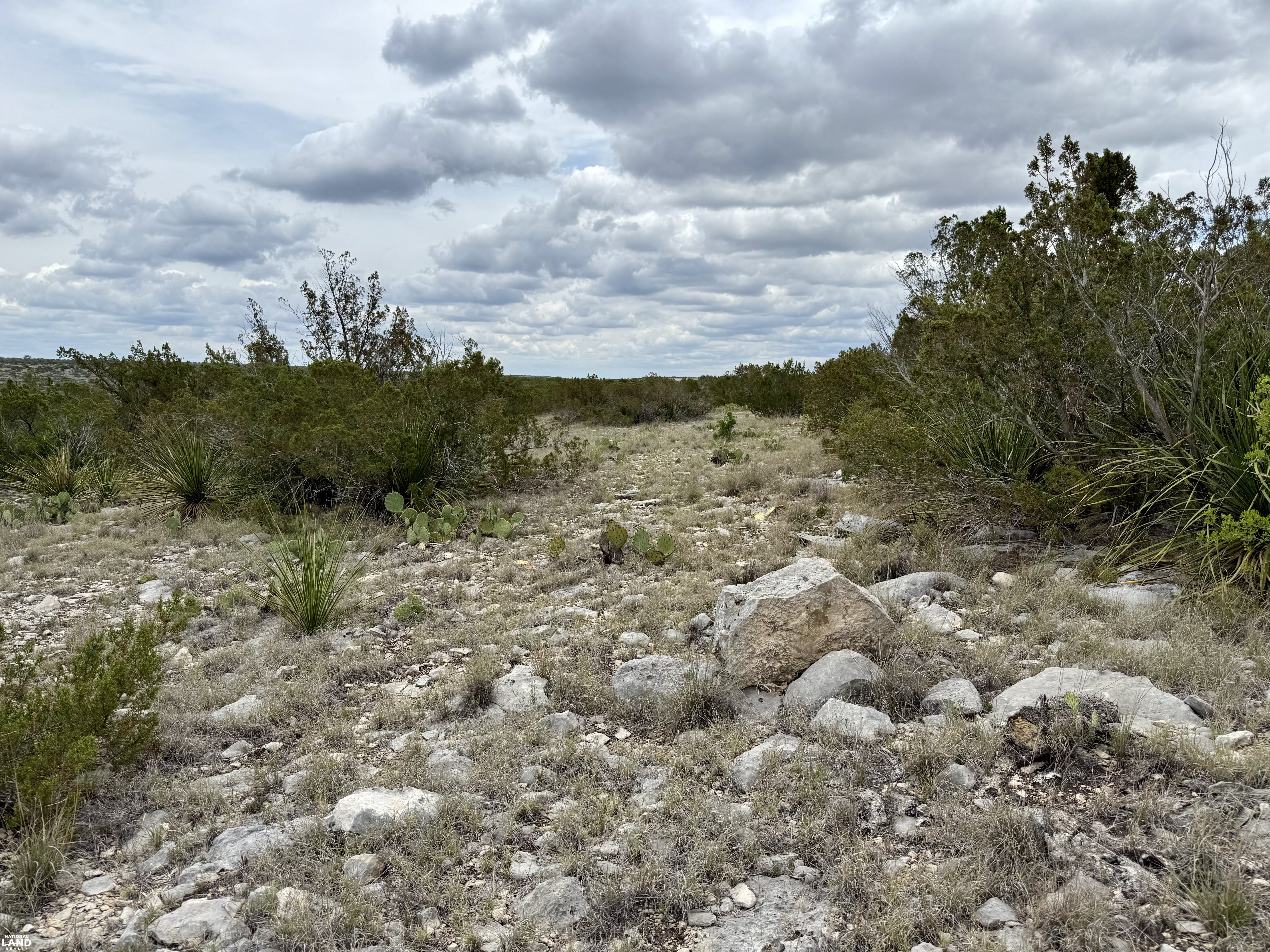 Western Hill Country Hunting Paradise in Val Verde County, TX (31 of 41)