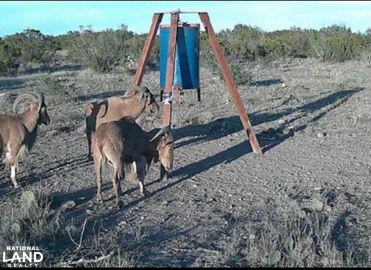 Western Hill Country Hunting Paradise in Val Verde County, TX (40 of 41)