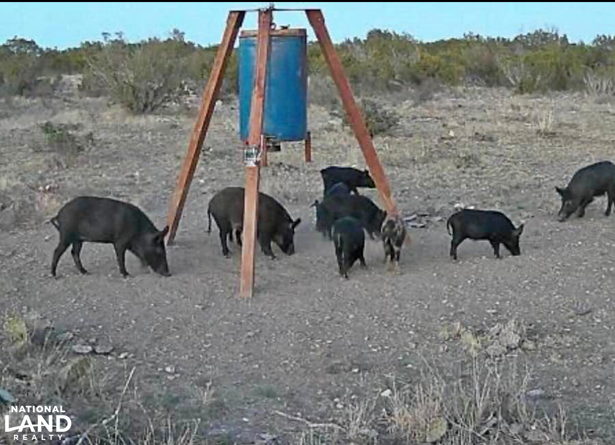 Western Hill Country Hunting Paradise in Val Verde County, TX (41 of 41)