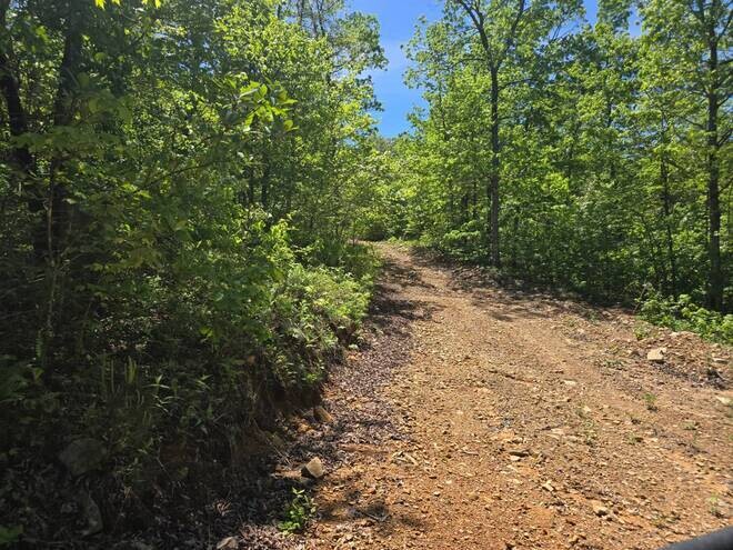Land for Sale in Pushmataha County, OK (4 of 11)