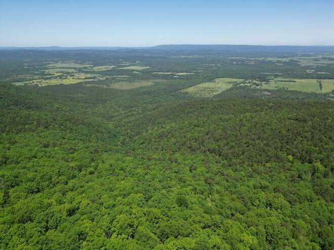 Land for Sale in Pushmataha County, OK (5 of 11)