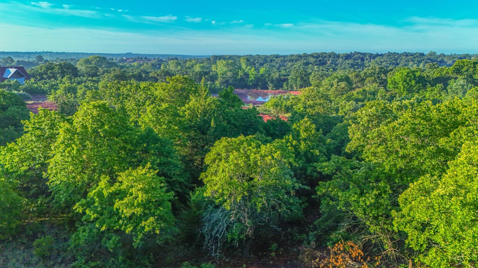 Land for Sale in Cleveland County, OK (10 of 22)
