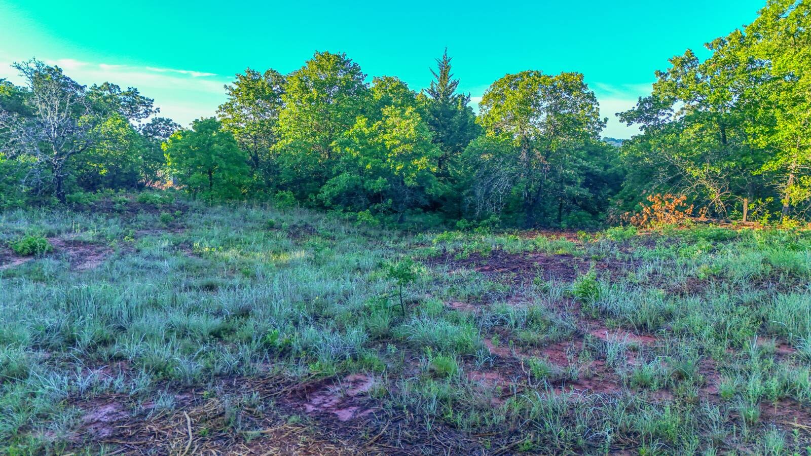 Land for Sale in Cleveland County, OK (11 of 22)