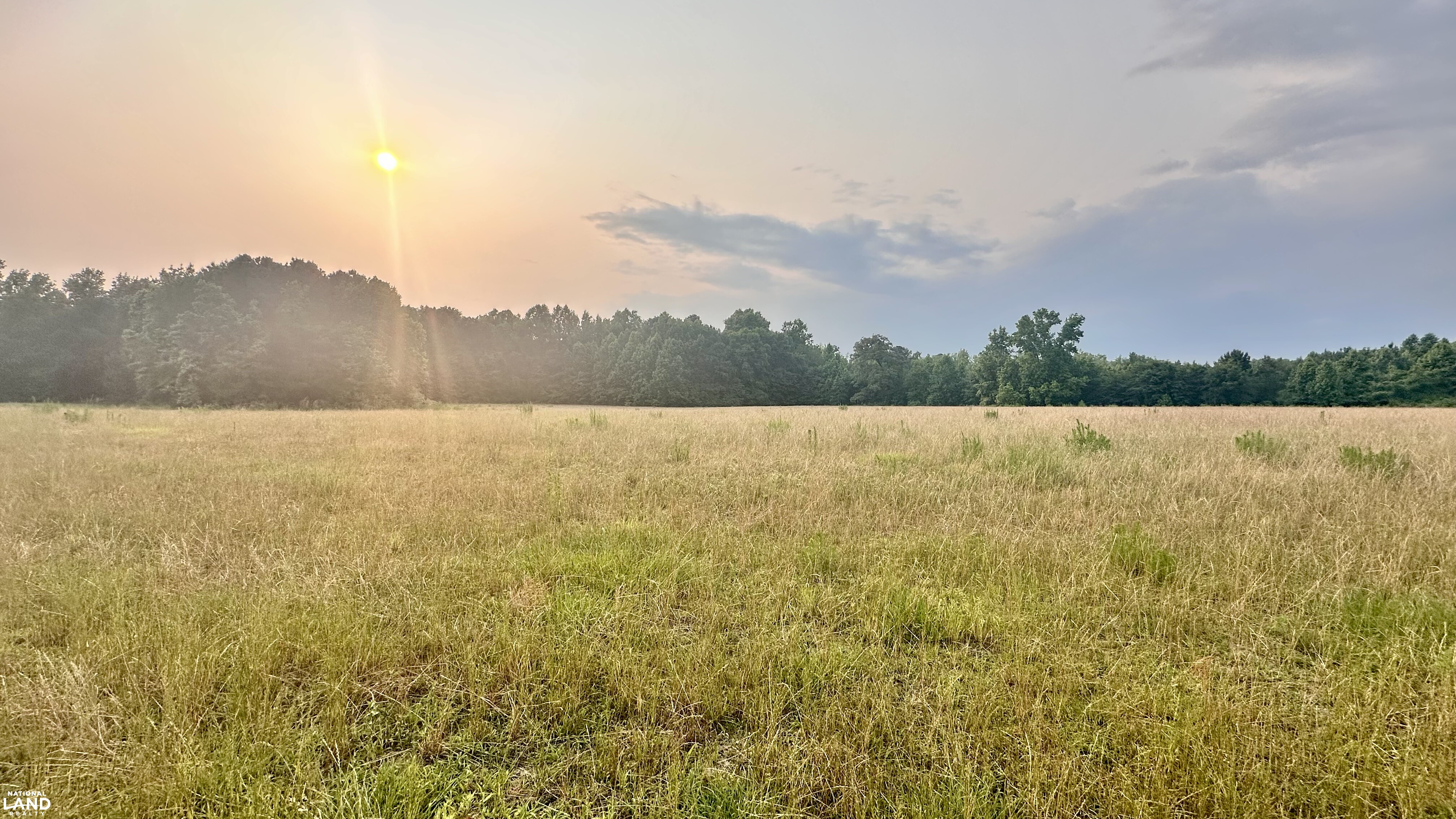 Jefferson Hay Farm and Pond in Chesterfield County, SC (33 of 84)