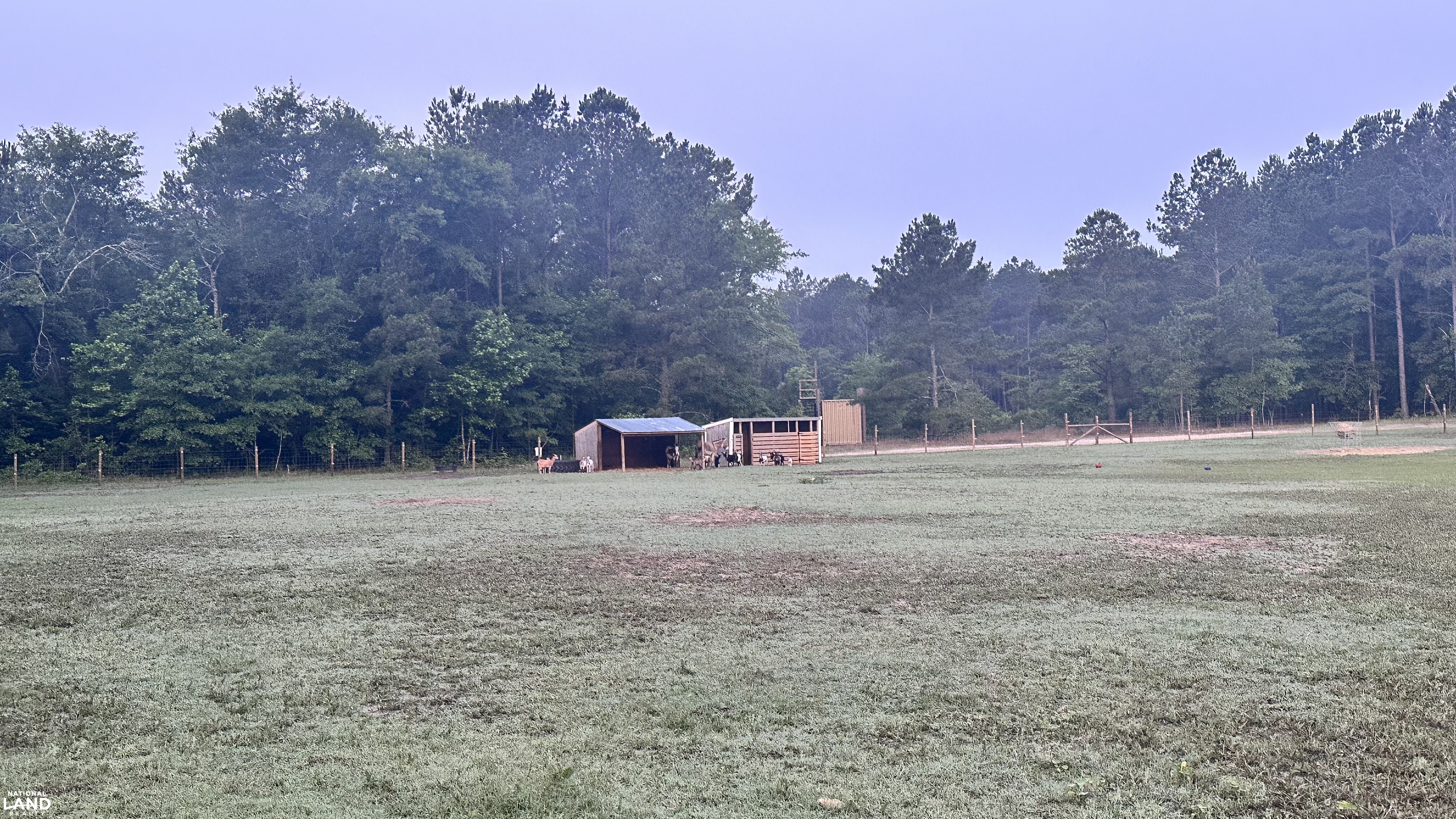 Jefferson Hay Farm and Pond in Chesterfield County, SC (50 of 84)