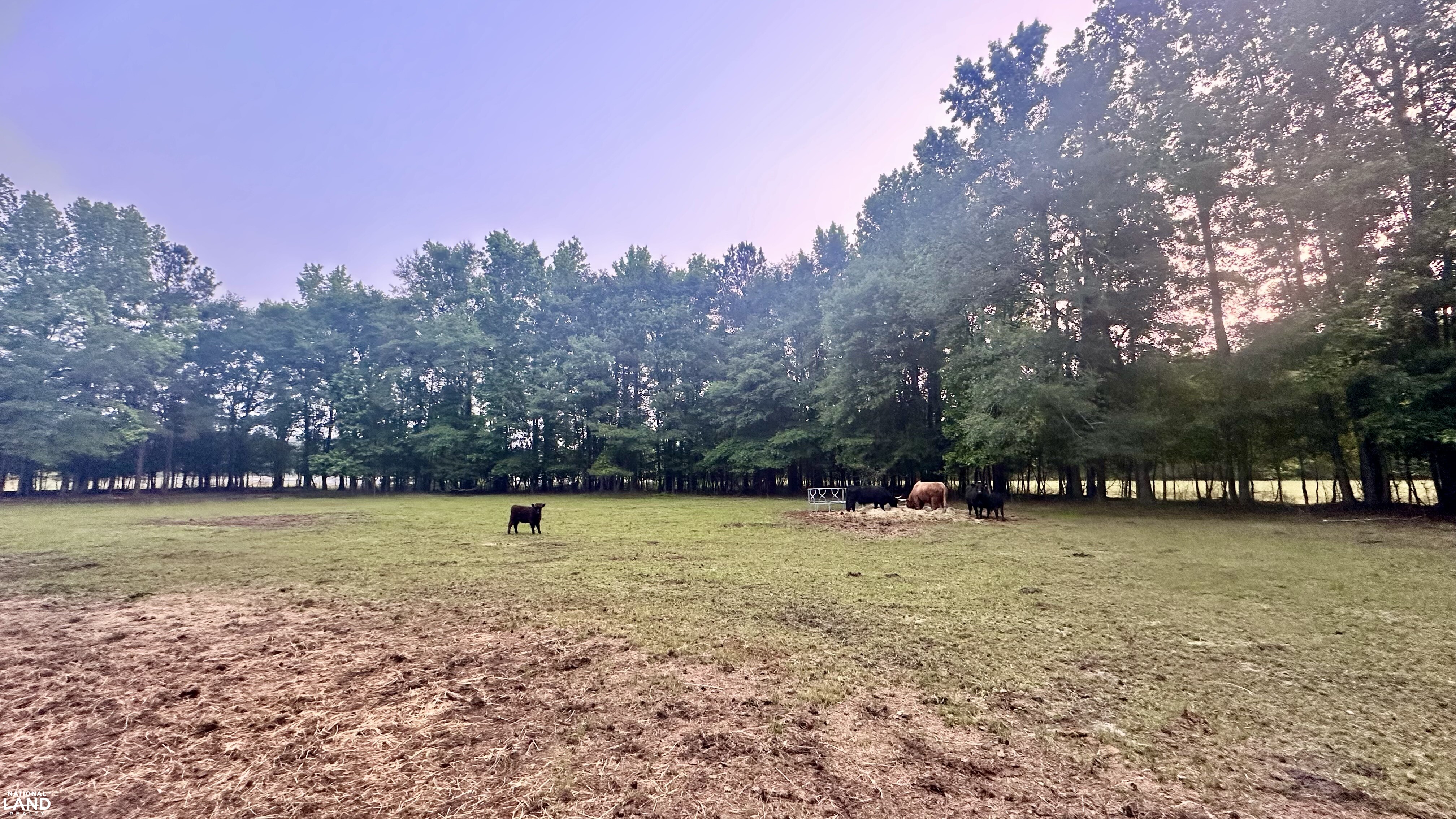 Jefferson Hay Farm and Pond in Chesterfield County, SC (52 of 84)