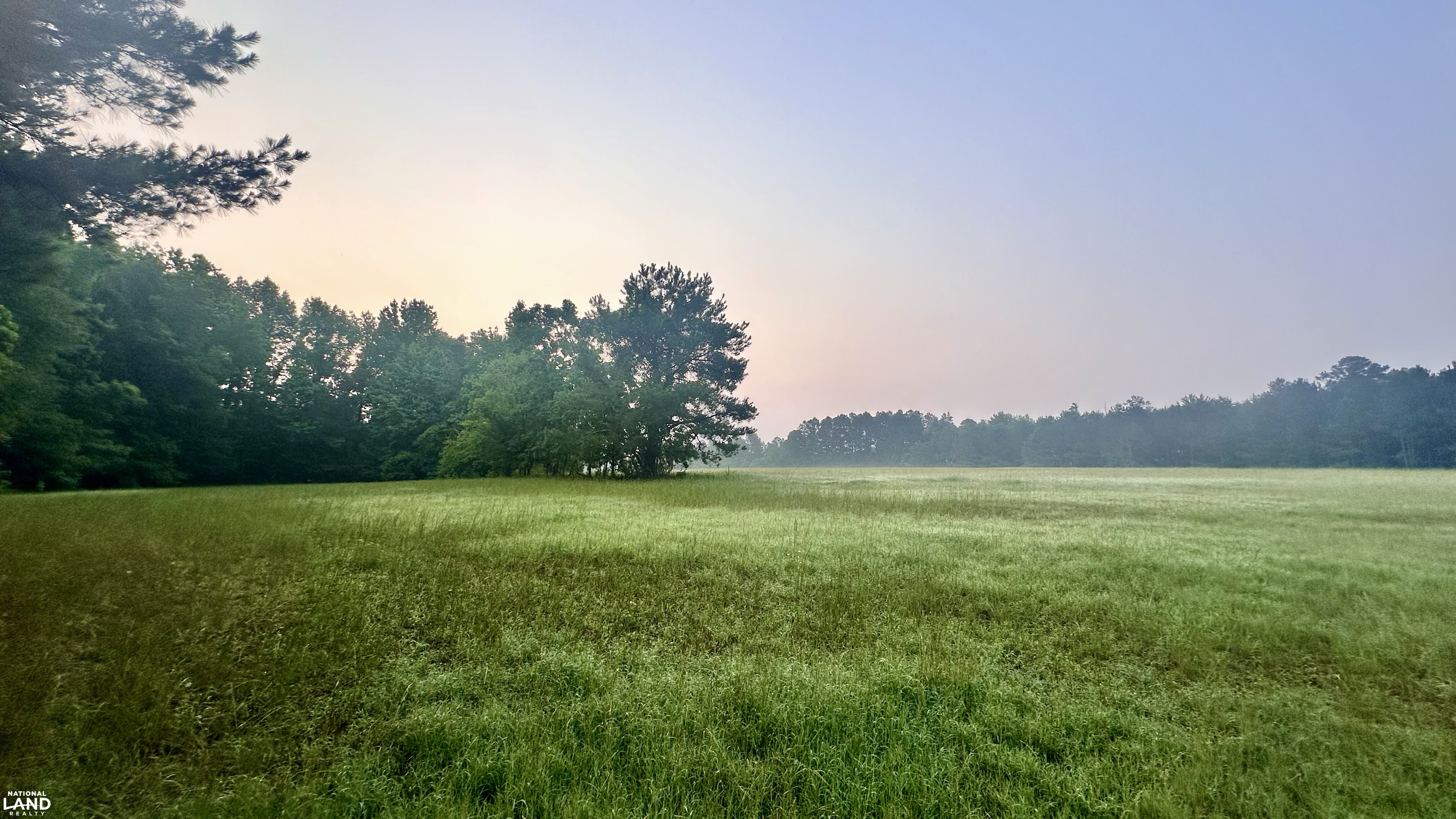 Jefferson Hay Farm and Pond in Chesterfield County, SC (58 of 84)