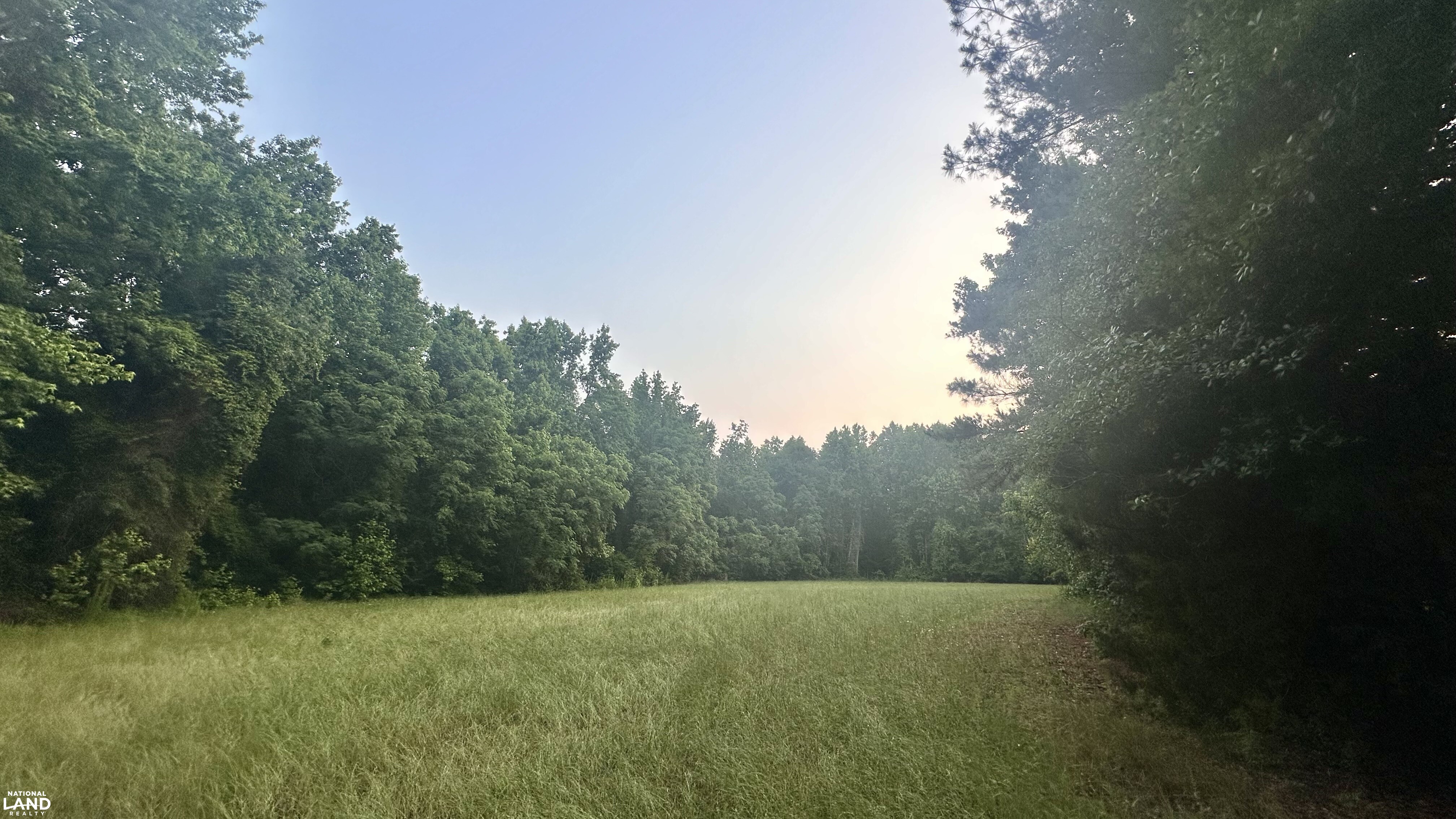 Jefferson Hay Farm and Pond in Chesterfield County, SC (59 of 84)