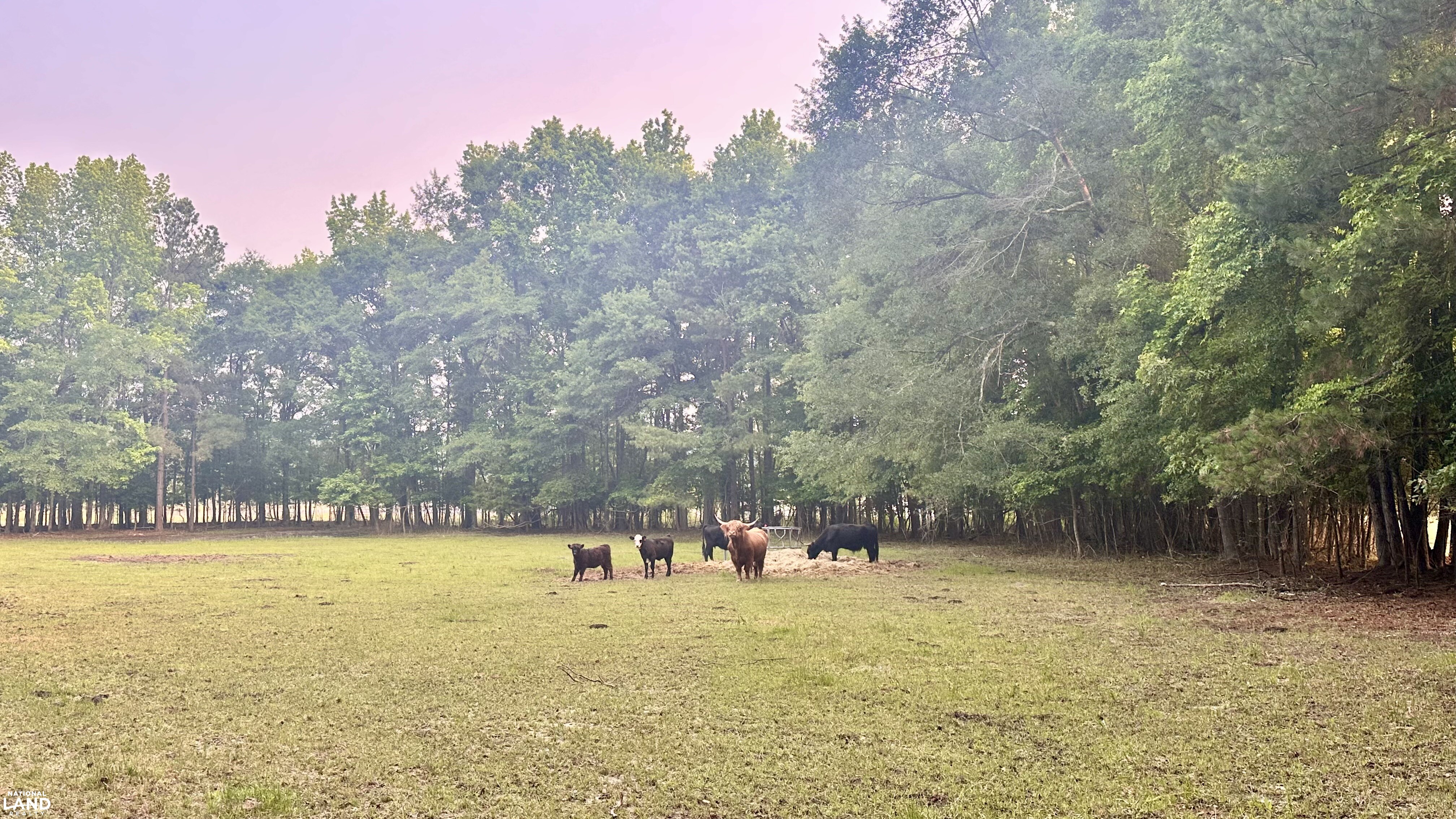 Jefferson Hay Farm and Pond in Chesterfield County, SC (62 of 84)