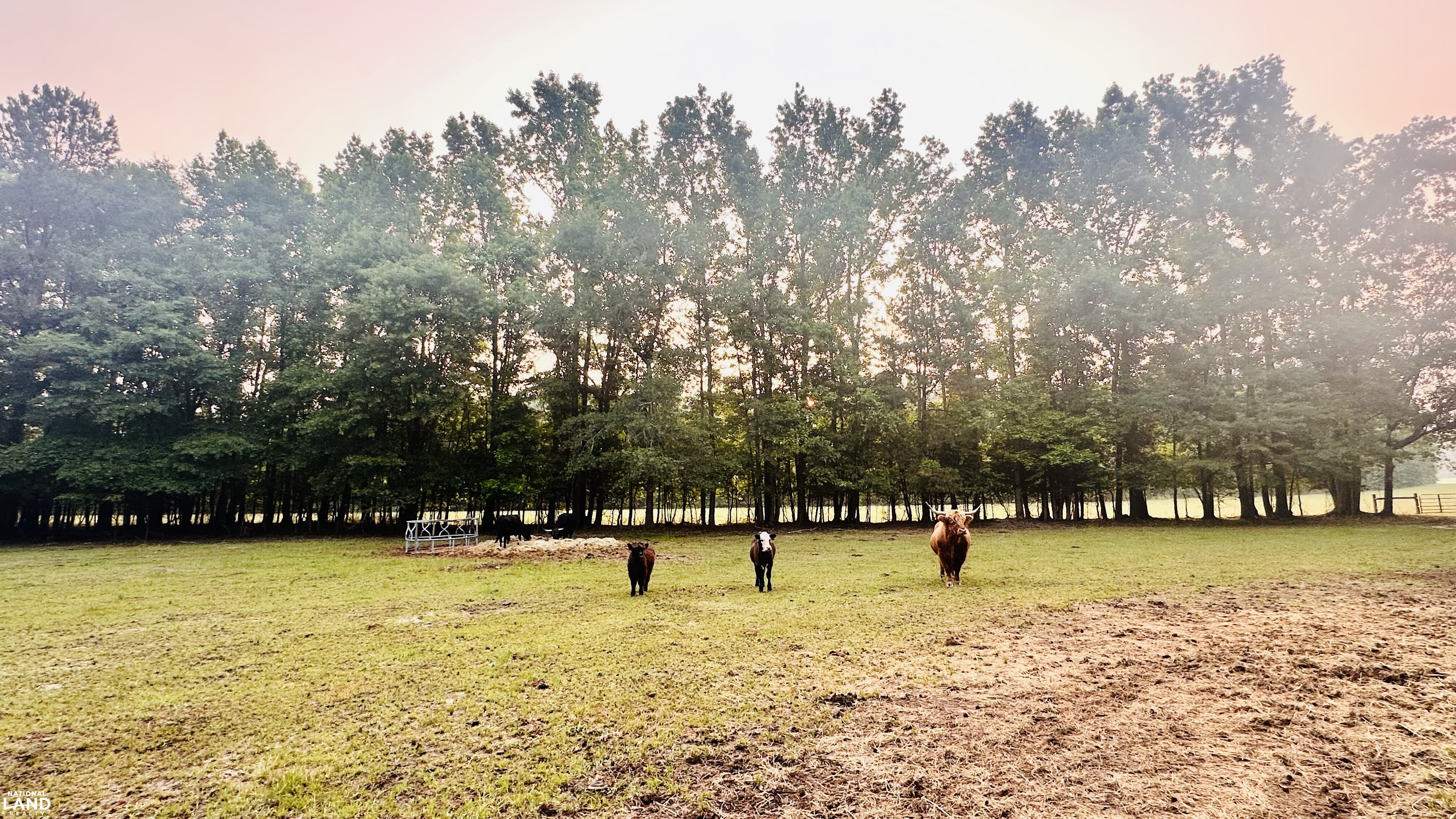 Jefferson Hay Farm and Pond in Chesterfield County, SC (7 of 84)