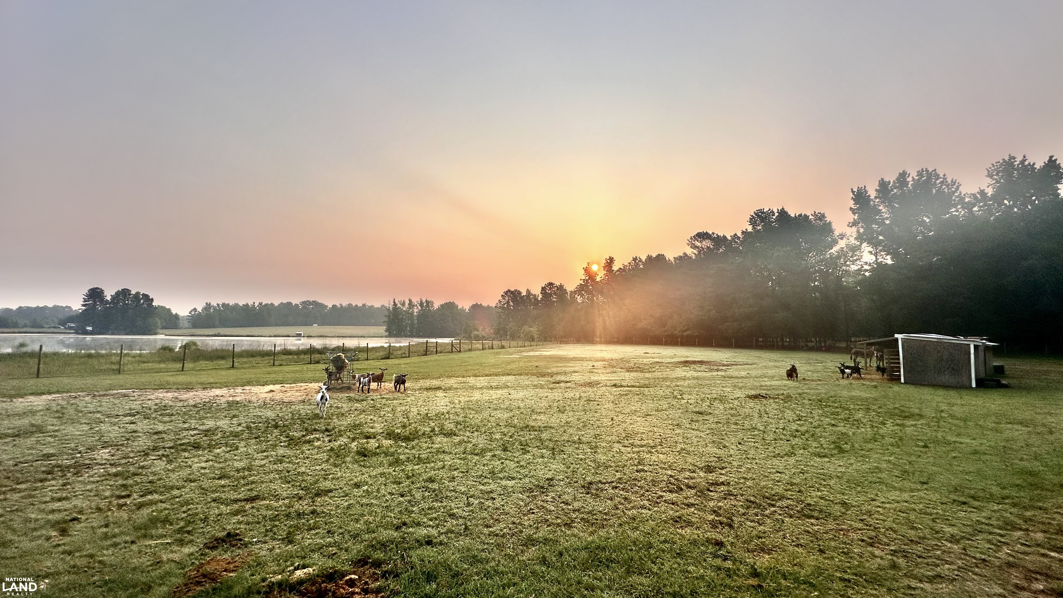 Jefferson Hay Farm and Pond in Chesterfield County, SC (65 of 84)