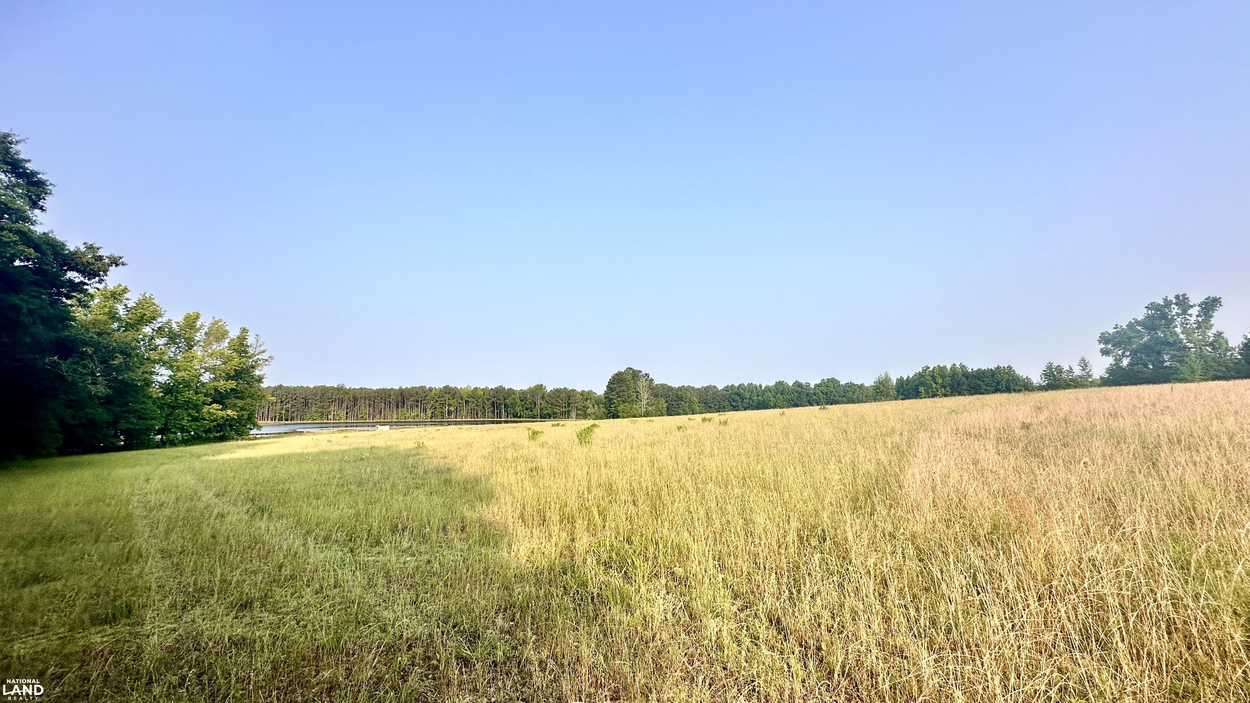 Jefferson Hay Farm and Pond in Chesterfield County, SC (70 of 84)