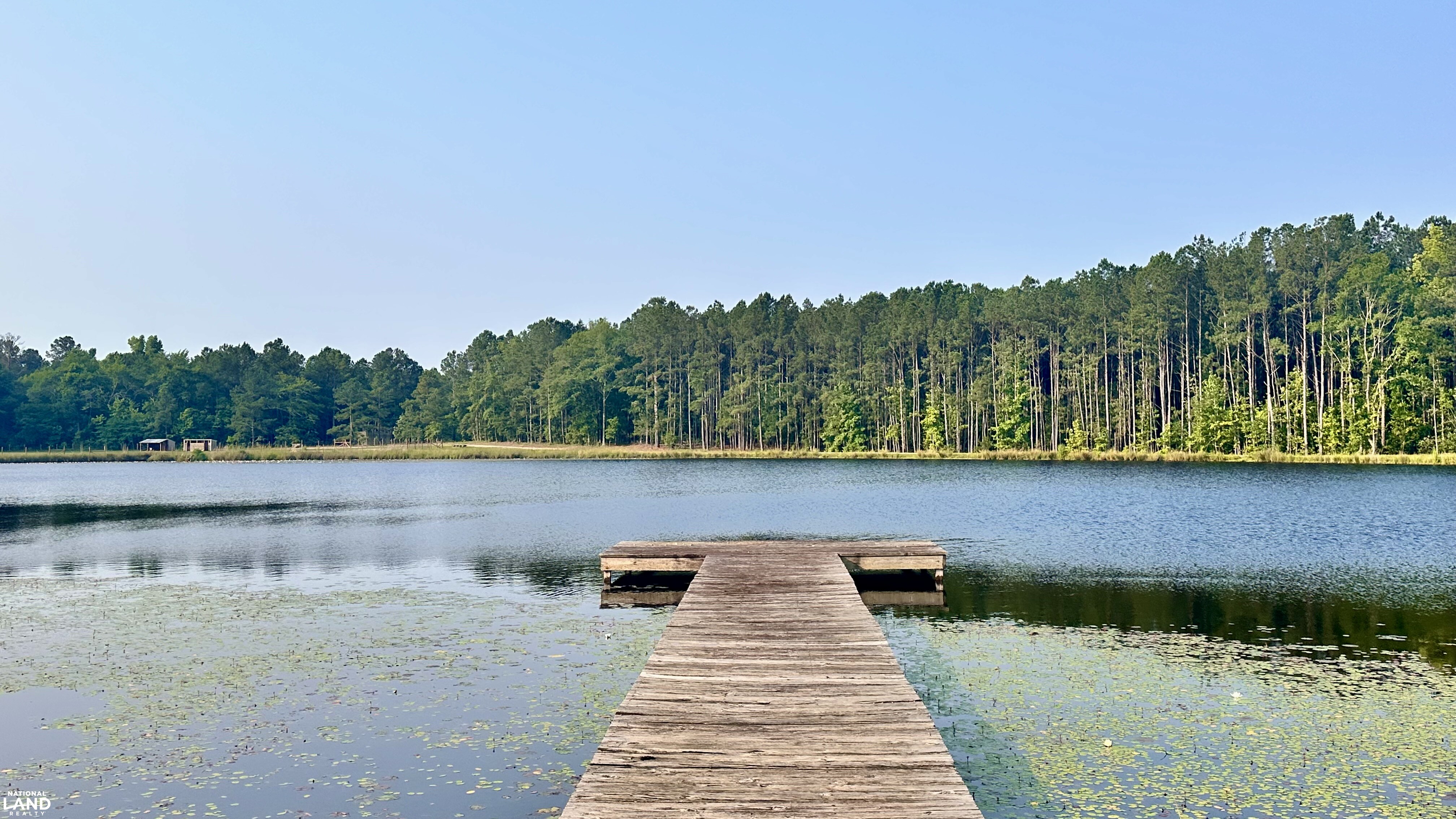 Jefferson Hay Farm and Pond in Chesterfield County, SC (72 of 84)