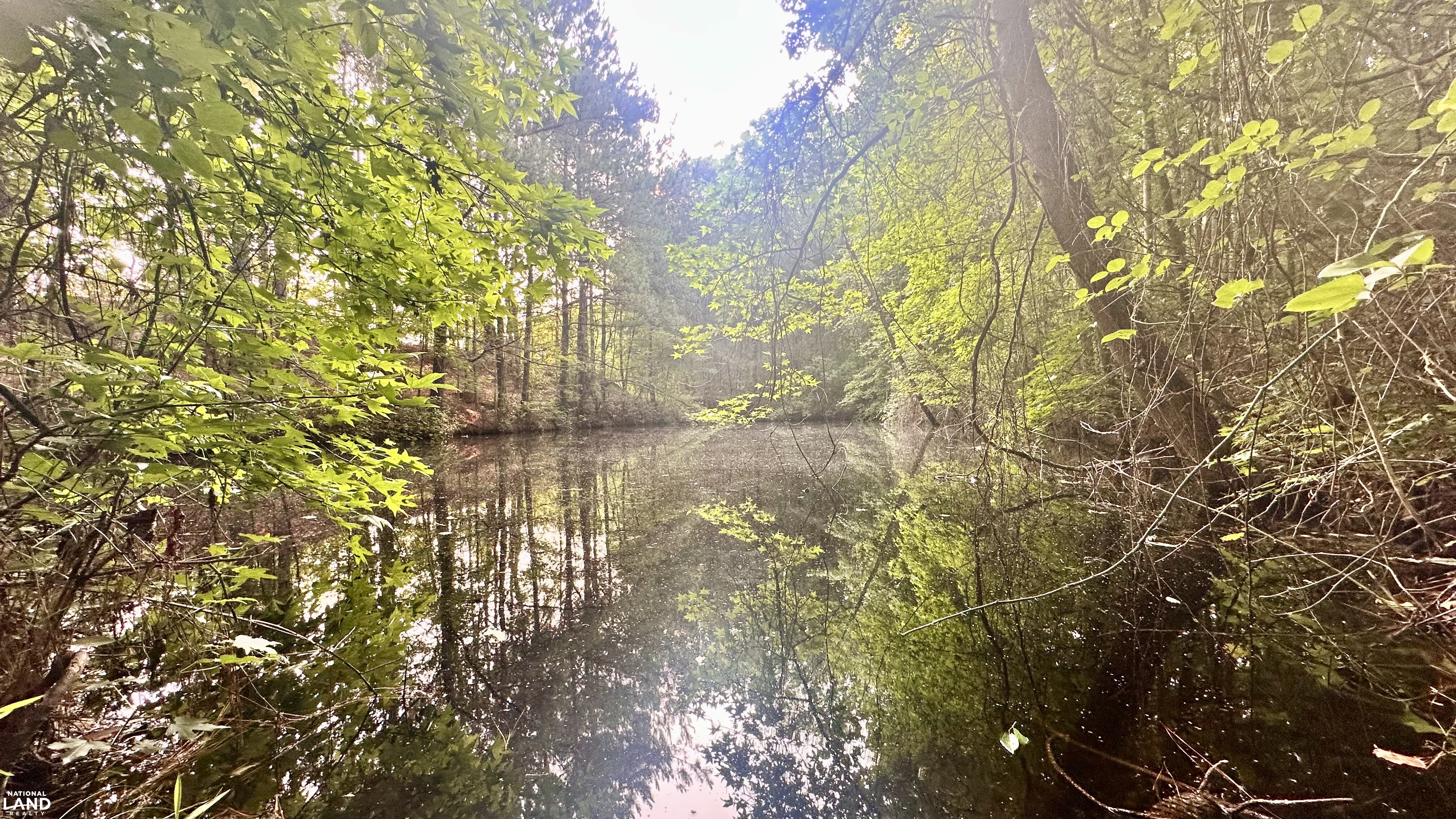 Jefferson Hay Farm and Pond in Chesterfield County, SC (23 of 84)