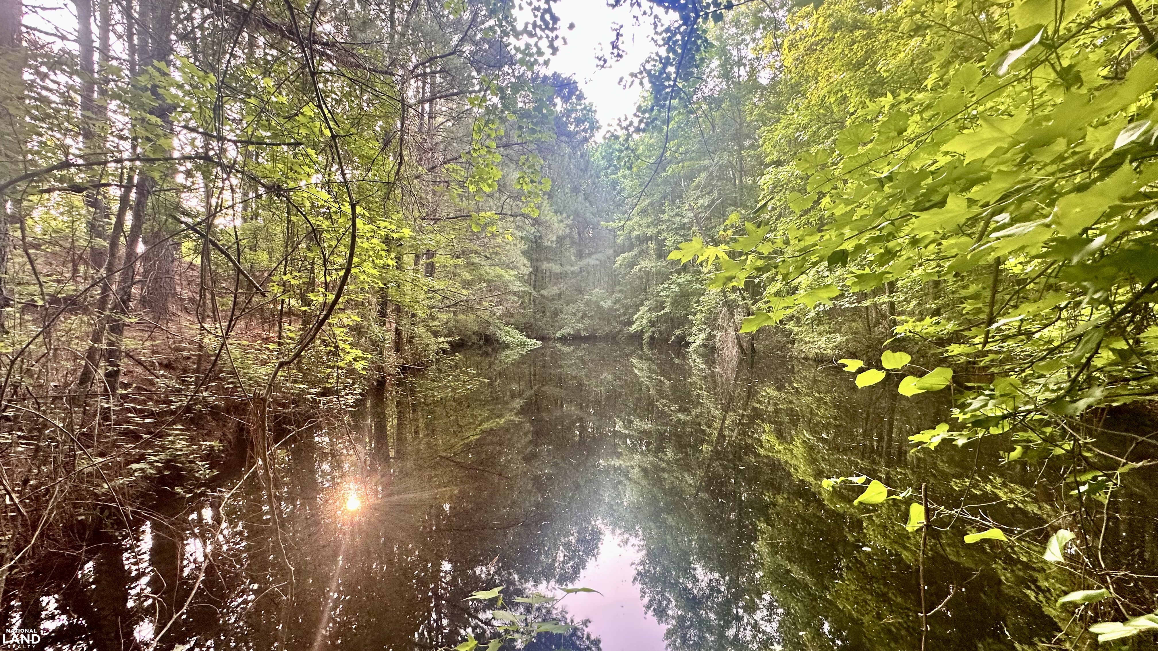 Jefferson Hay Farm and Pond in Chesterfield County, SC (73 of 84)