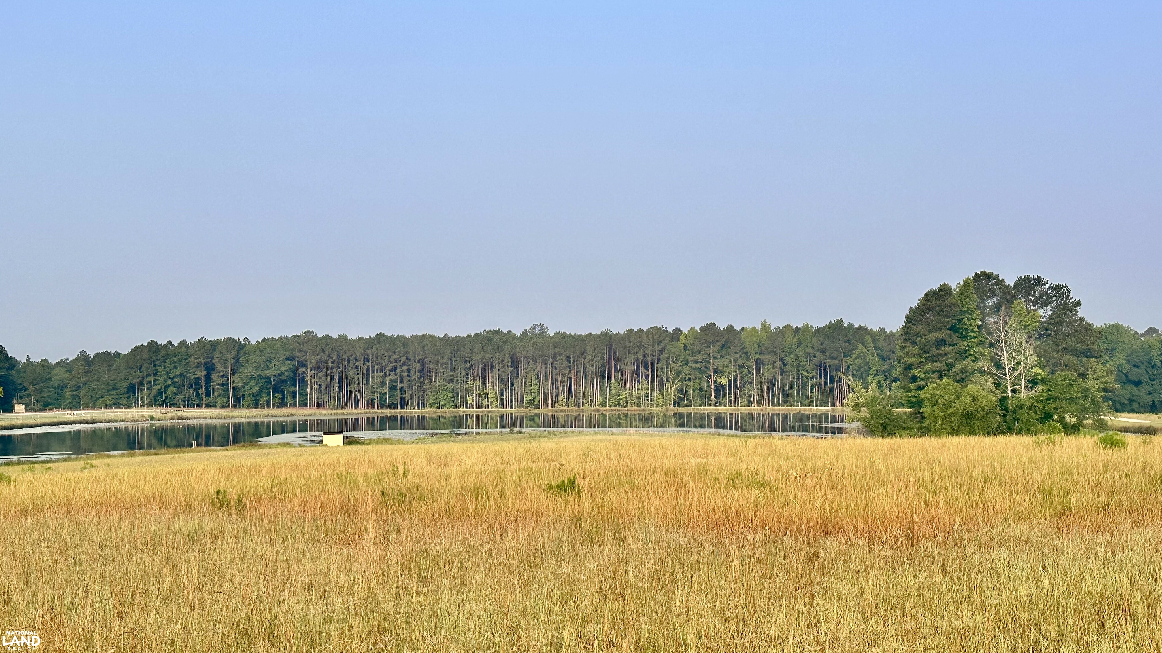 Jefferson Hay Farm and Pond in Chesterfield County, SC (77 of 84)