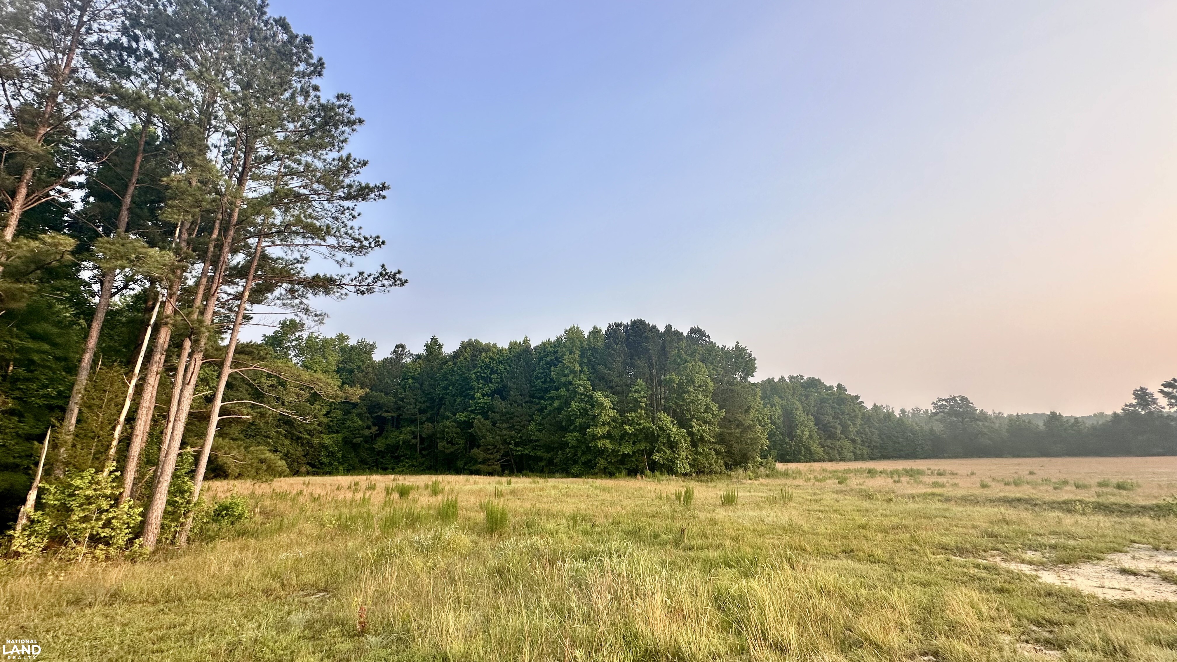 Jefferson Hay Farm and Pond in Chesterfield County, SC (83 of 84)