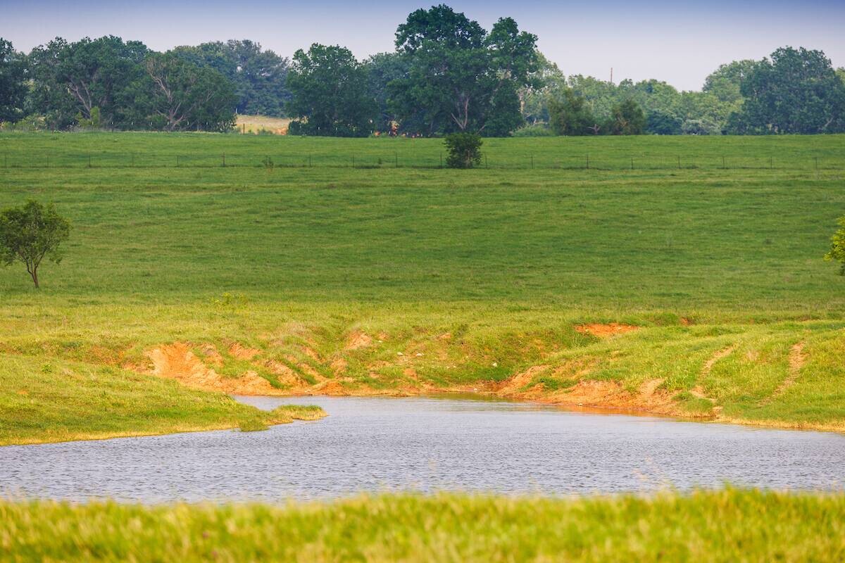 Land for Sale in Somervell County, TX (5 of 15)