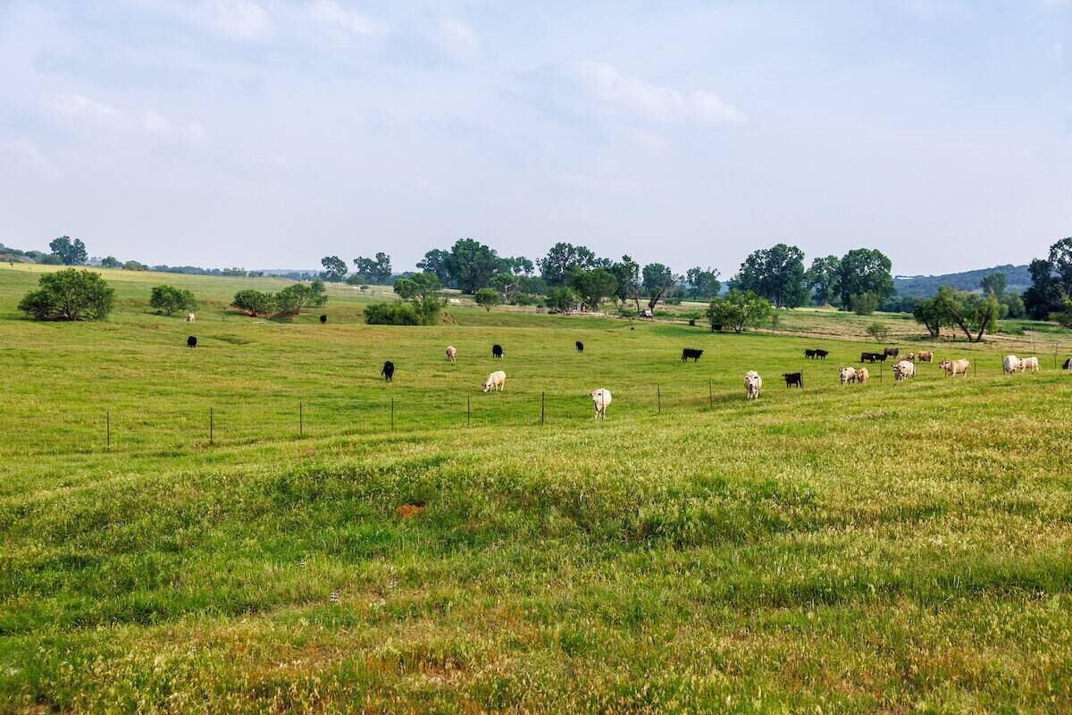 Land for Sale in Somervell County, TX (8 of 15)