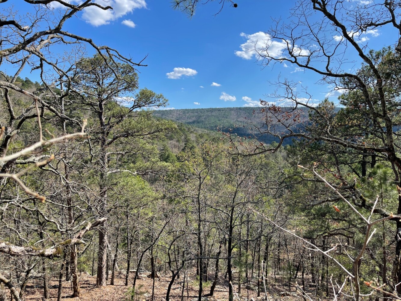 Land for Sale in Pushmataha County, OK (1 of 100)