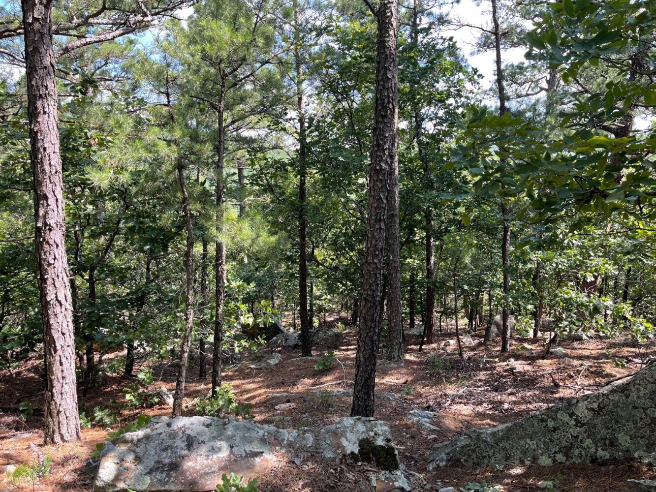 Land for Sale in Pushmataha County, OK (3 of 100)