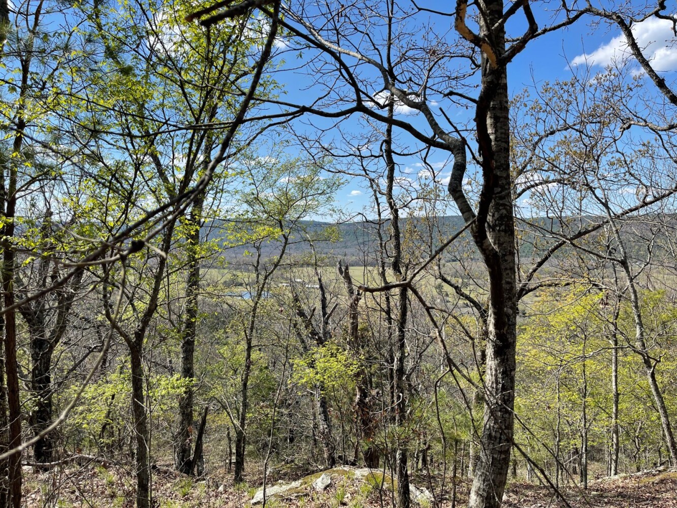 Land for Sale in Pushmataha County, OK (6 of 100)