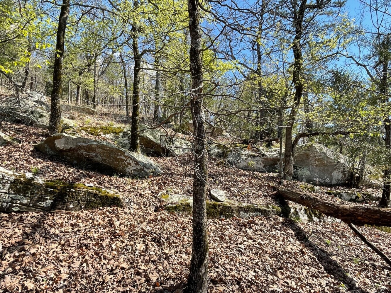 Land for Sale in Pushmataha County, OK (10 of 100)
