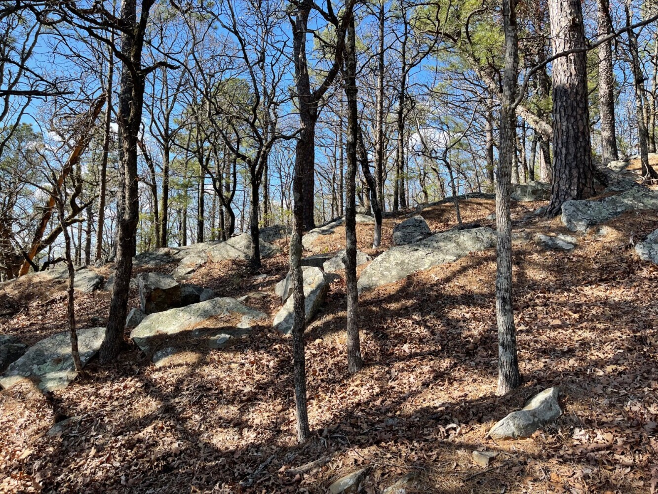 Land for Sale in Pushmataha County, OK (14 of 100)