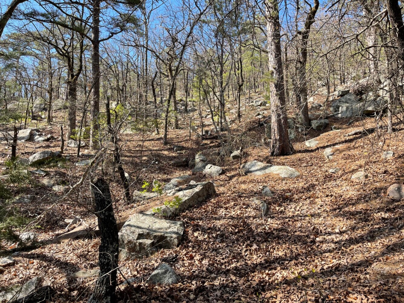 Land for Sale in Pushmataha County, OK (15 of 100)