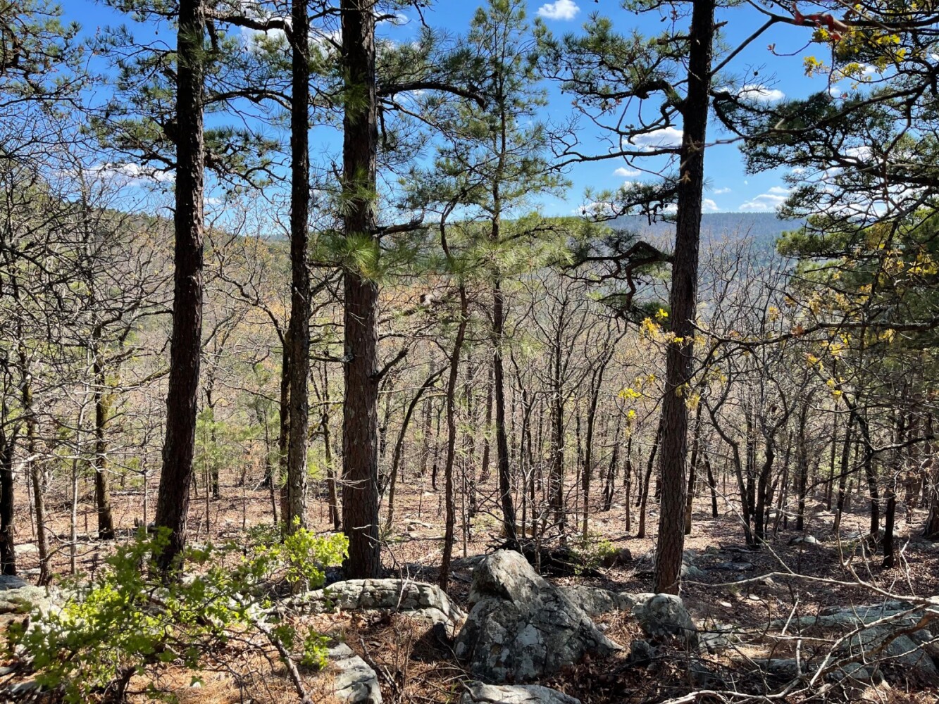 Land for Sale in Pushmataha County, OK (17 of 100)