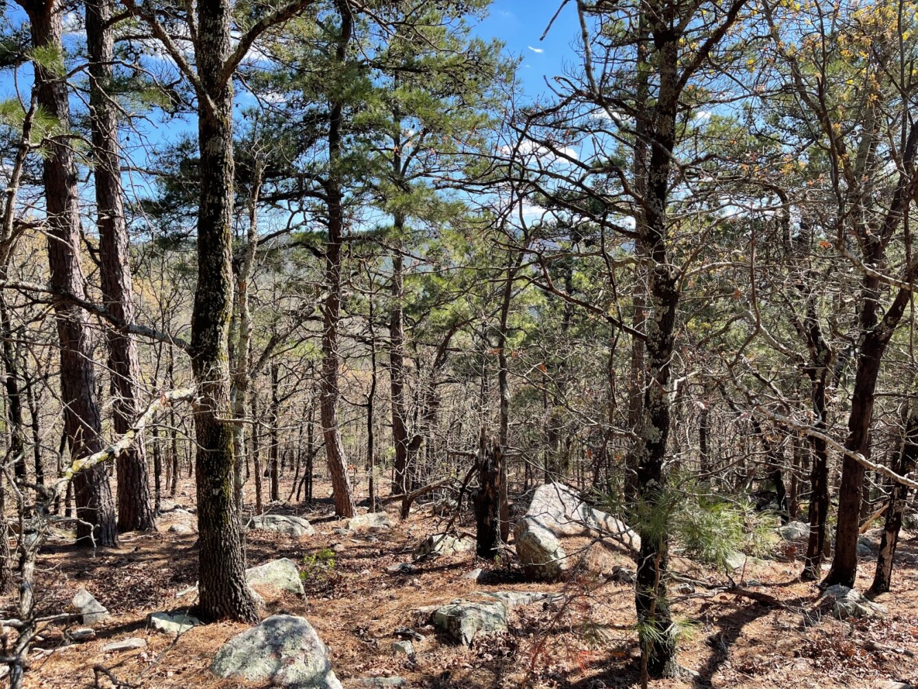 Land for Sale in Pushmataha County, OK (18 of 100)
