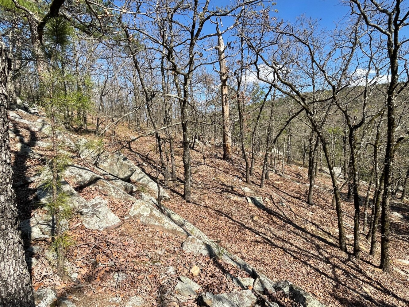 Land for Sale in Pushmataha County, OK (19 of 100)