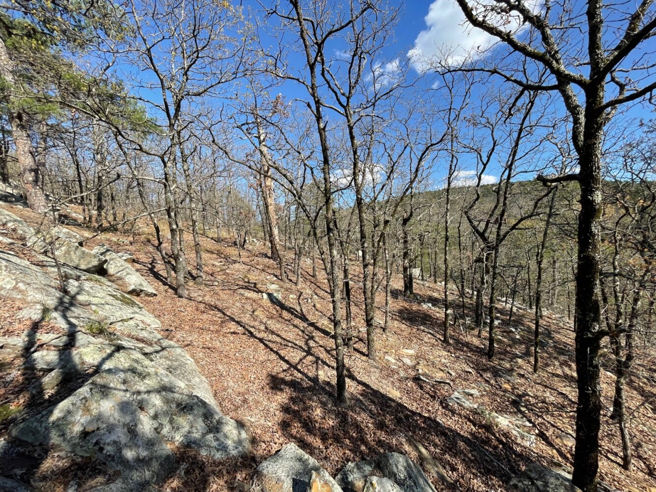 Land for Sale in Pushmataha County, OK (20 of 100)