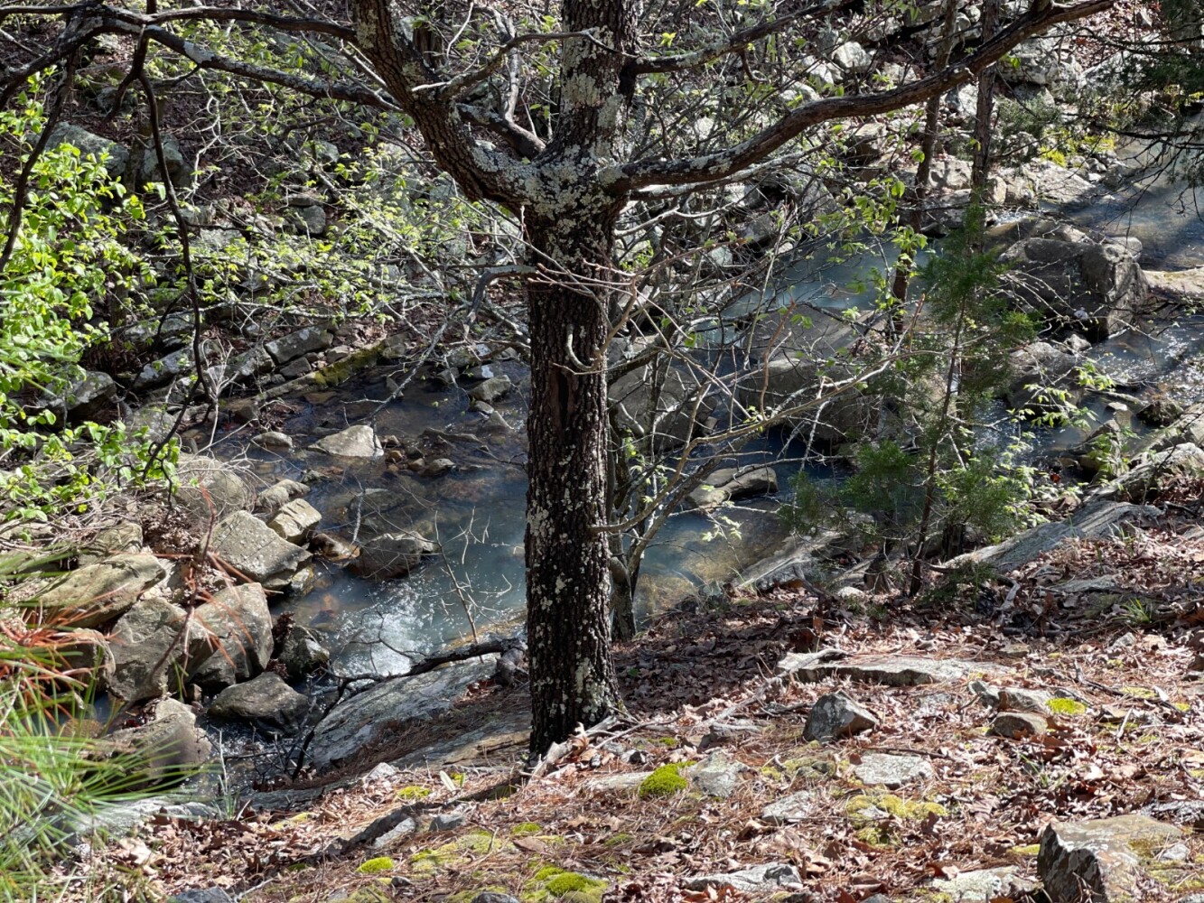Land for Sale in Pushmataha County, OK (22 of 100)