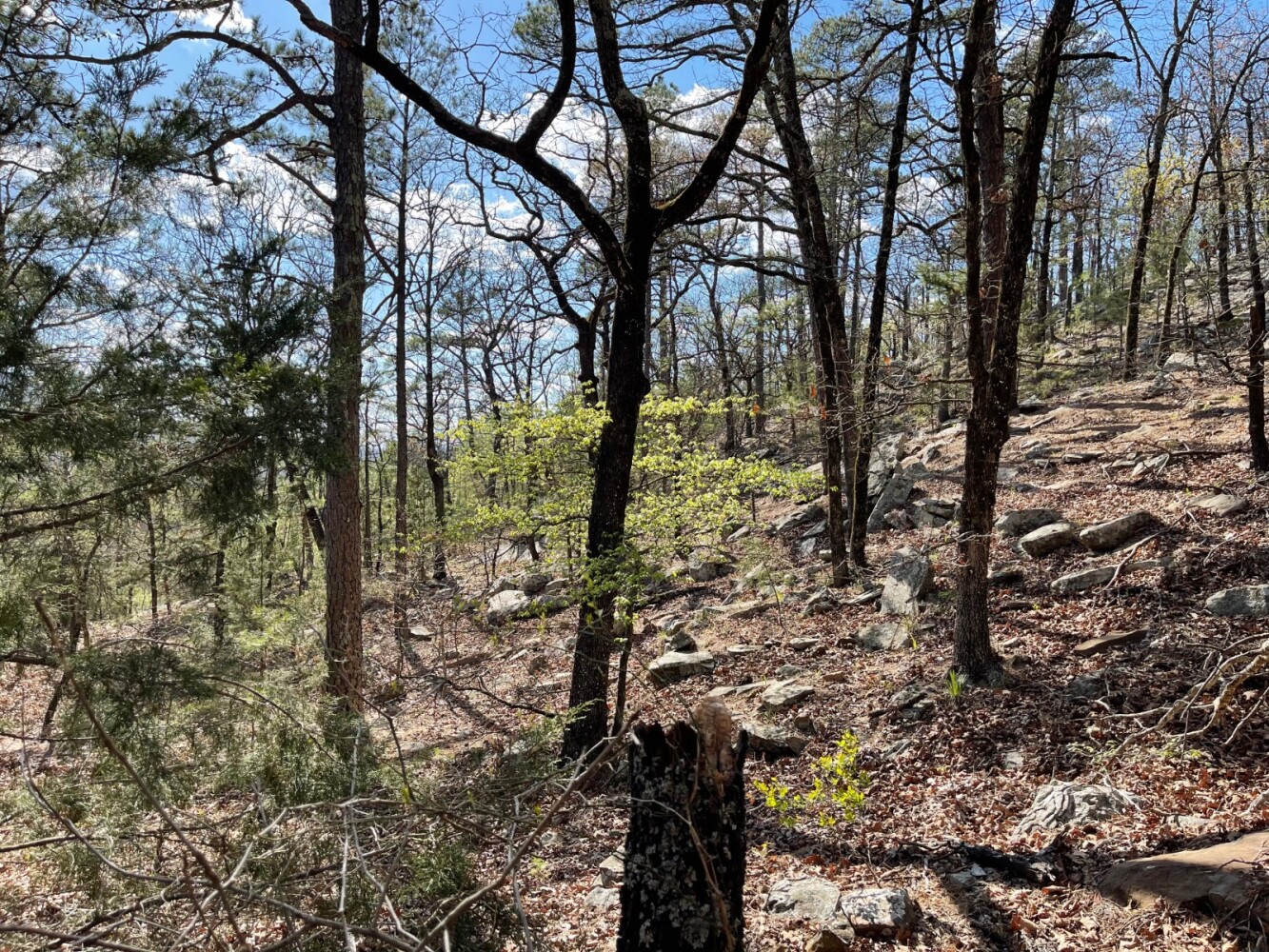 Land for Sale in Pushmataha County, OK (23 of 100)