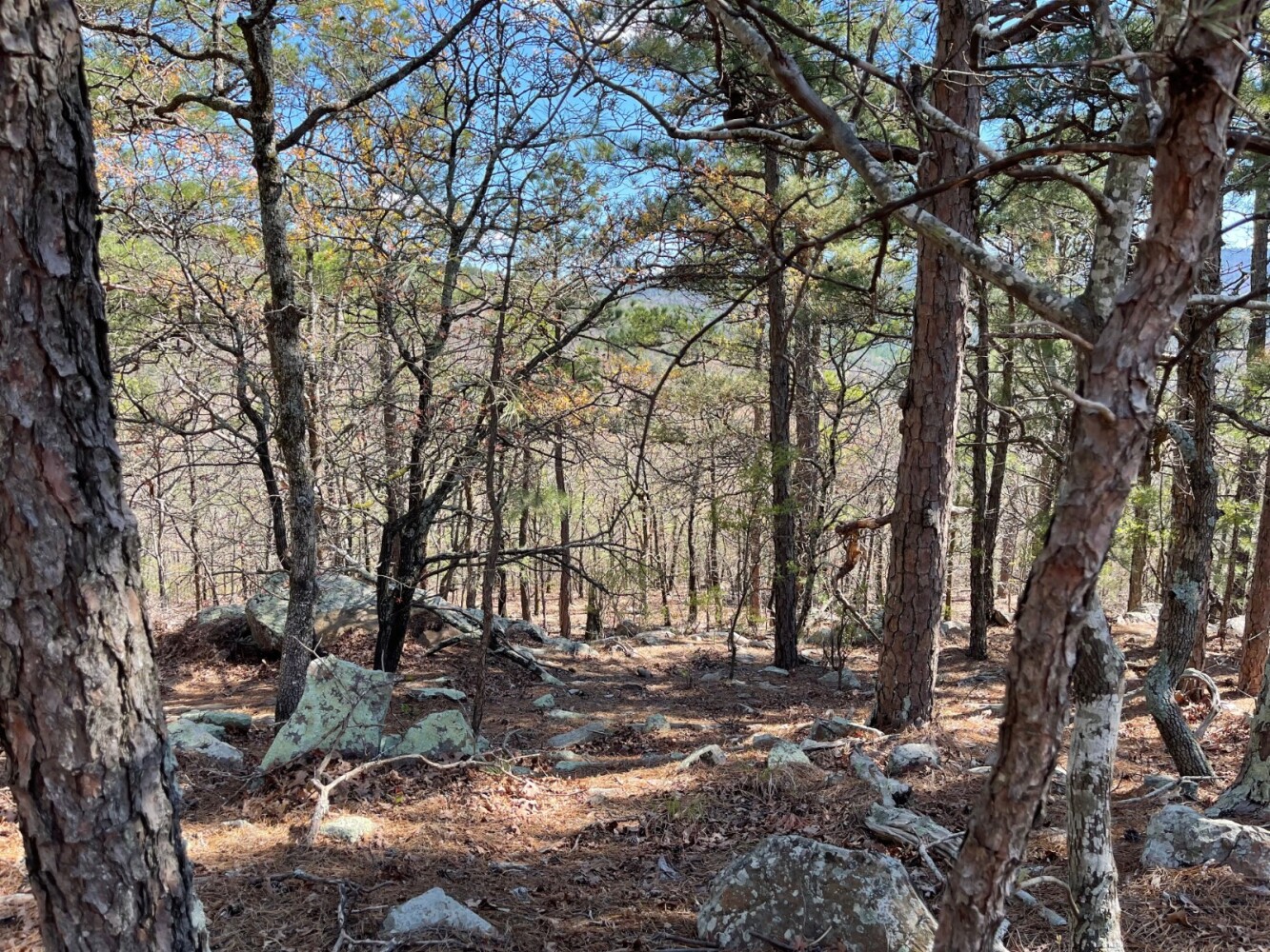 Land for Sale in Pushmataha County, OK (24 of 100)