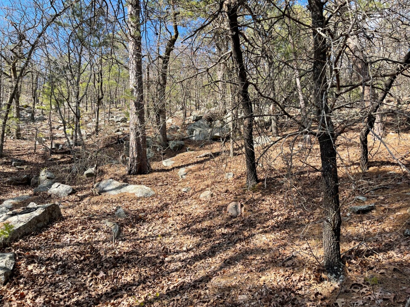 Land for Sale in Pushmataha County, OK (25 of 100)