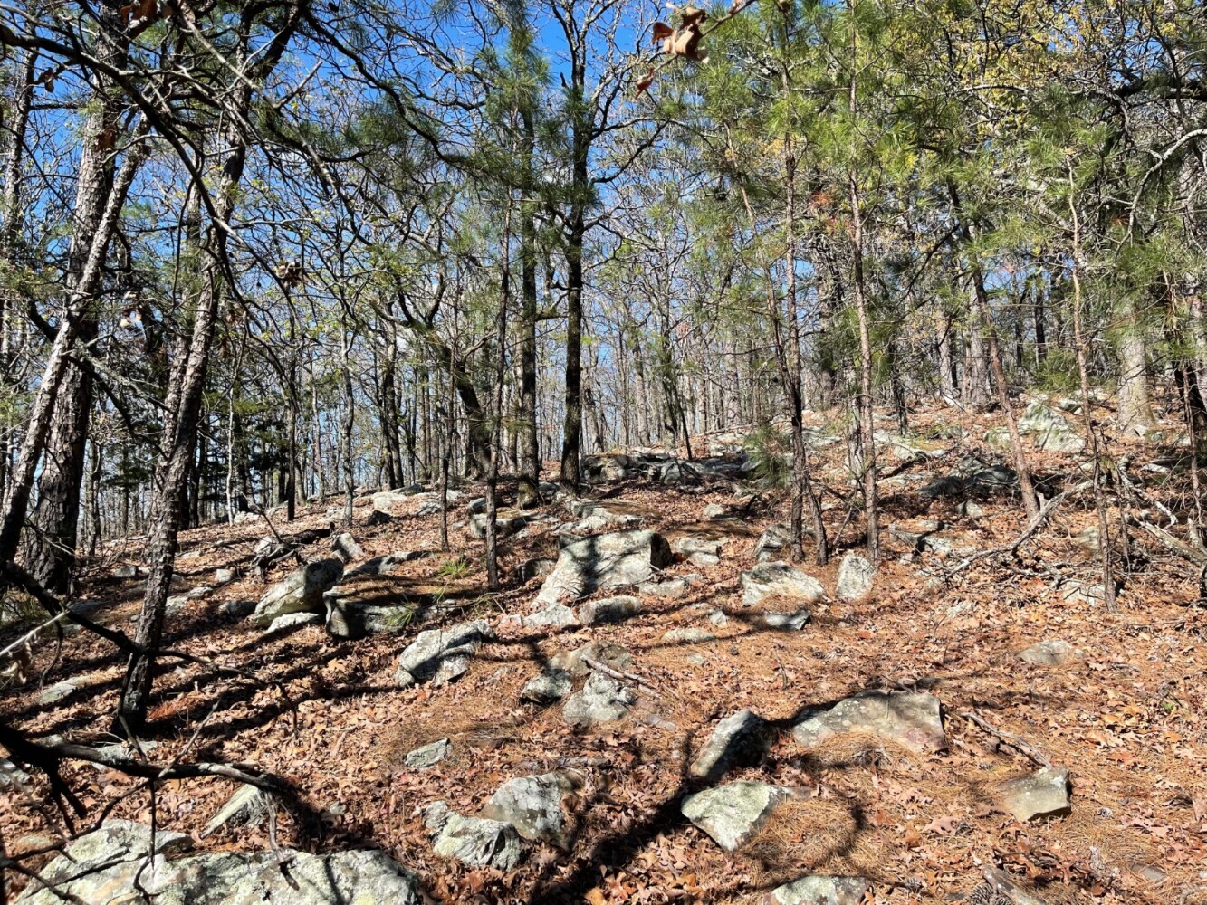 Land for Sale in Pushmataha County, OK (26 of 100)