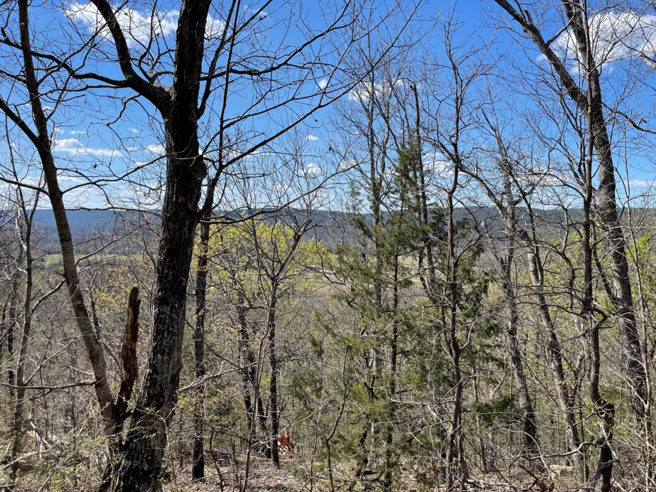 Land for Sale in Pushmataha County, OK (27 of 100)